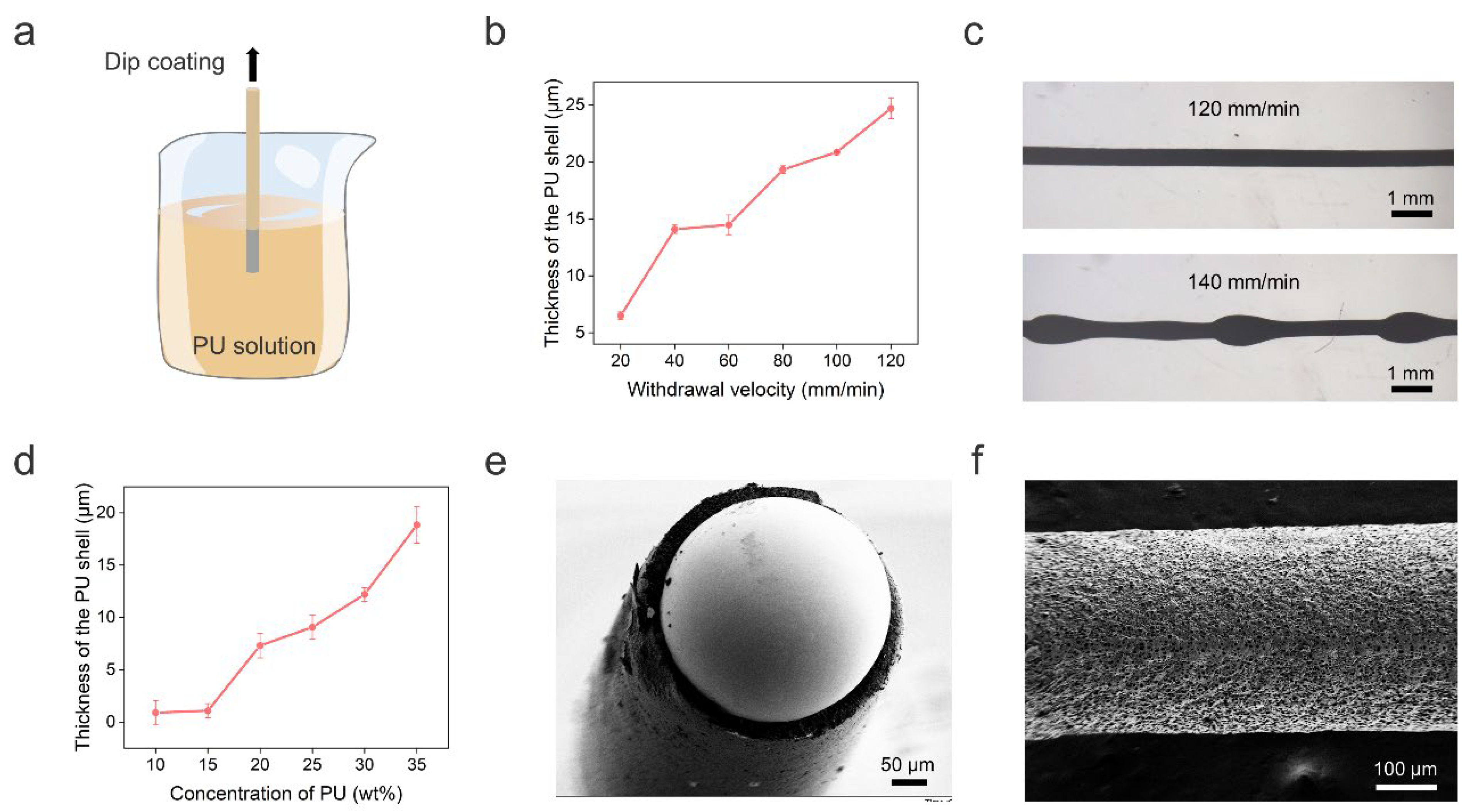 Biosensors 13 00028 g002 Biosensors 13 00028 g002