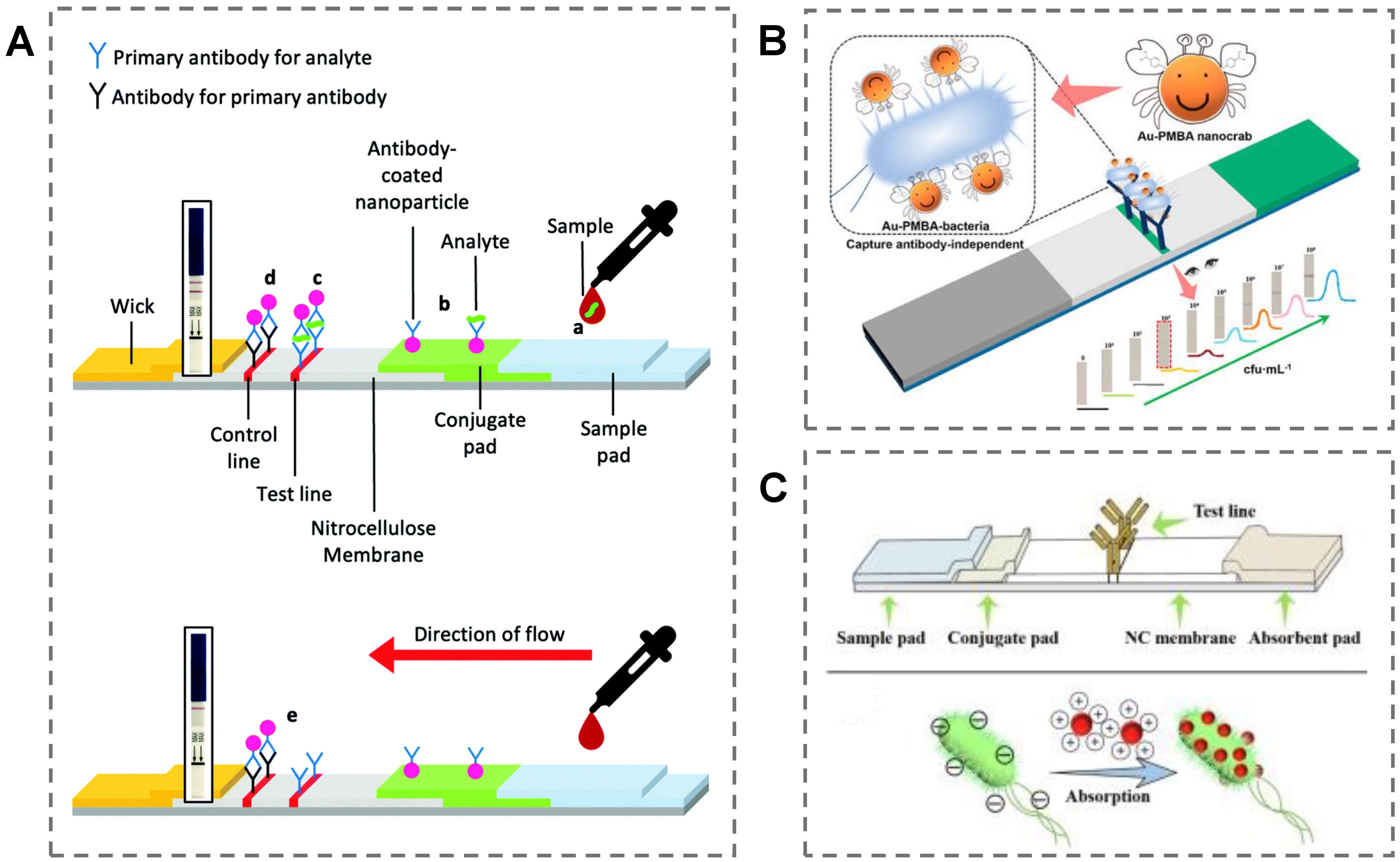 Biosensors 13 00029 g004