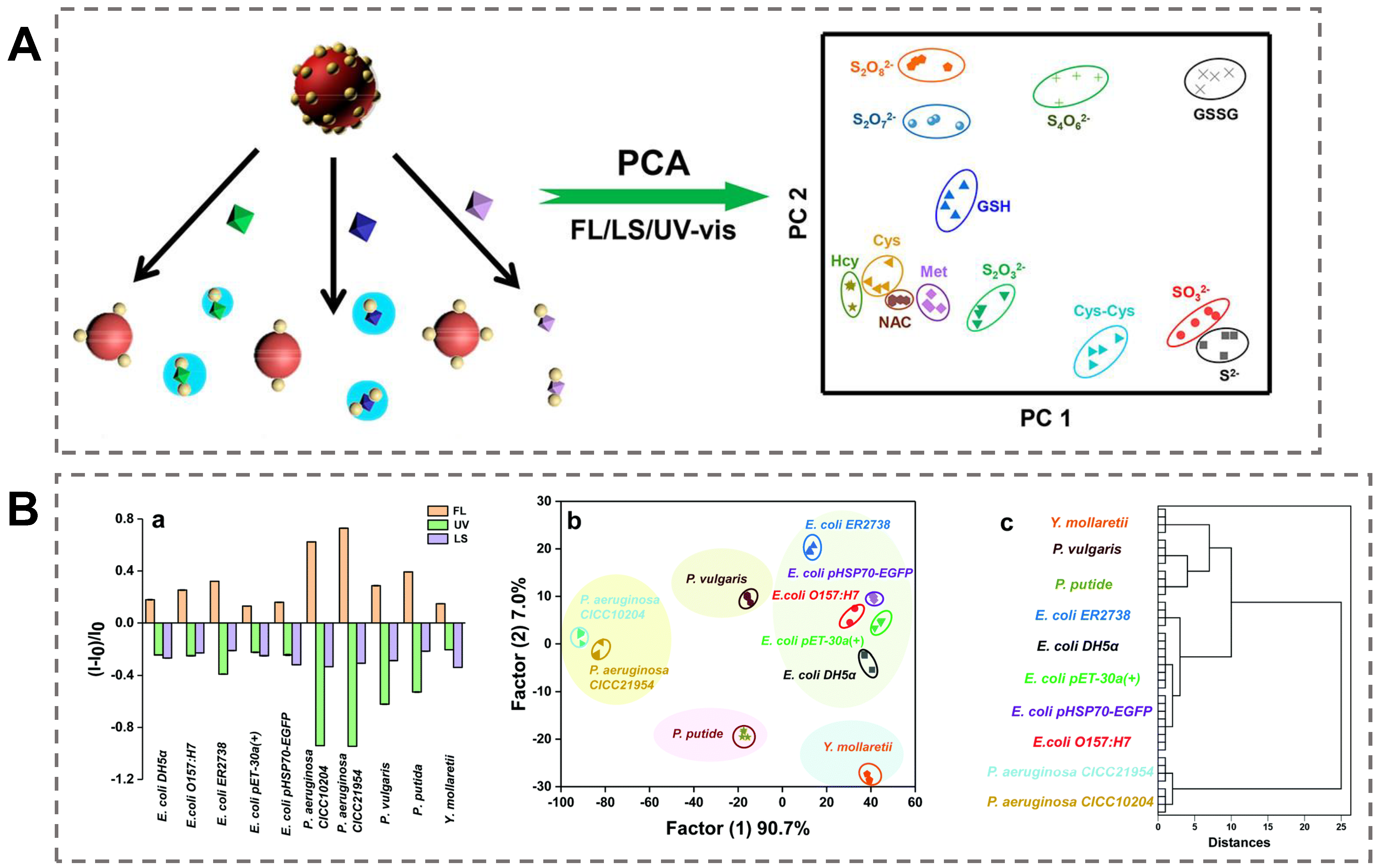 Biosensors 13 00029 g006