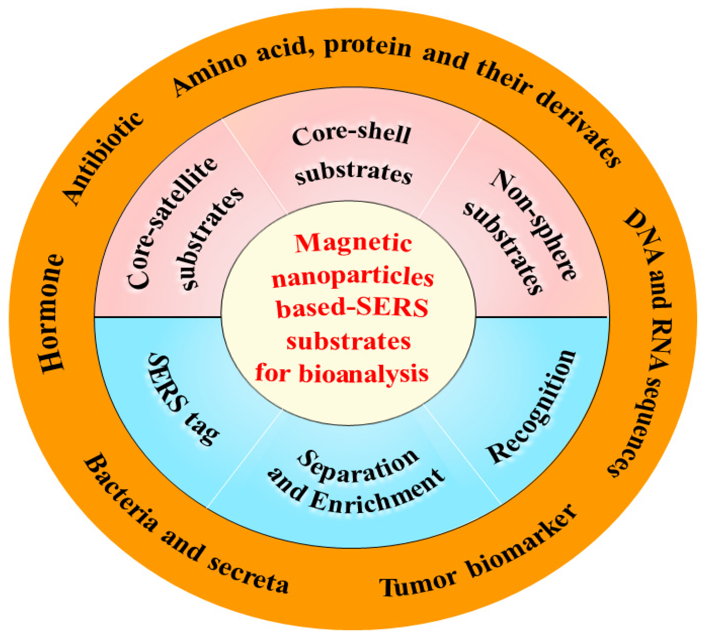 Biosensors 13 00030 g001