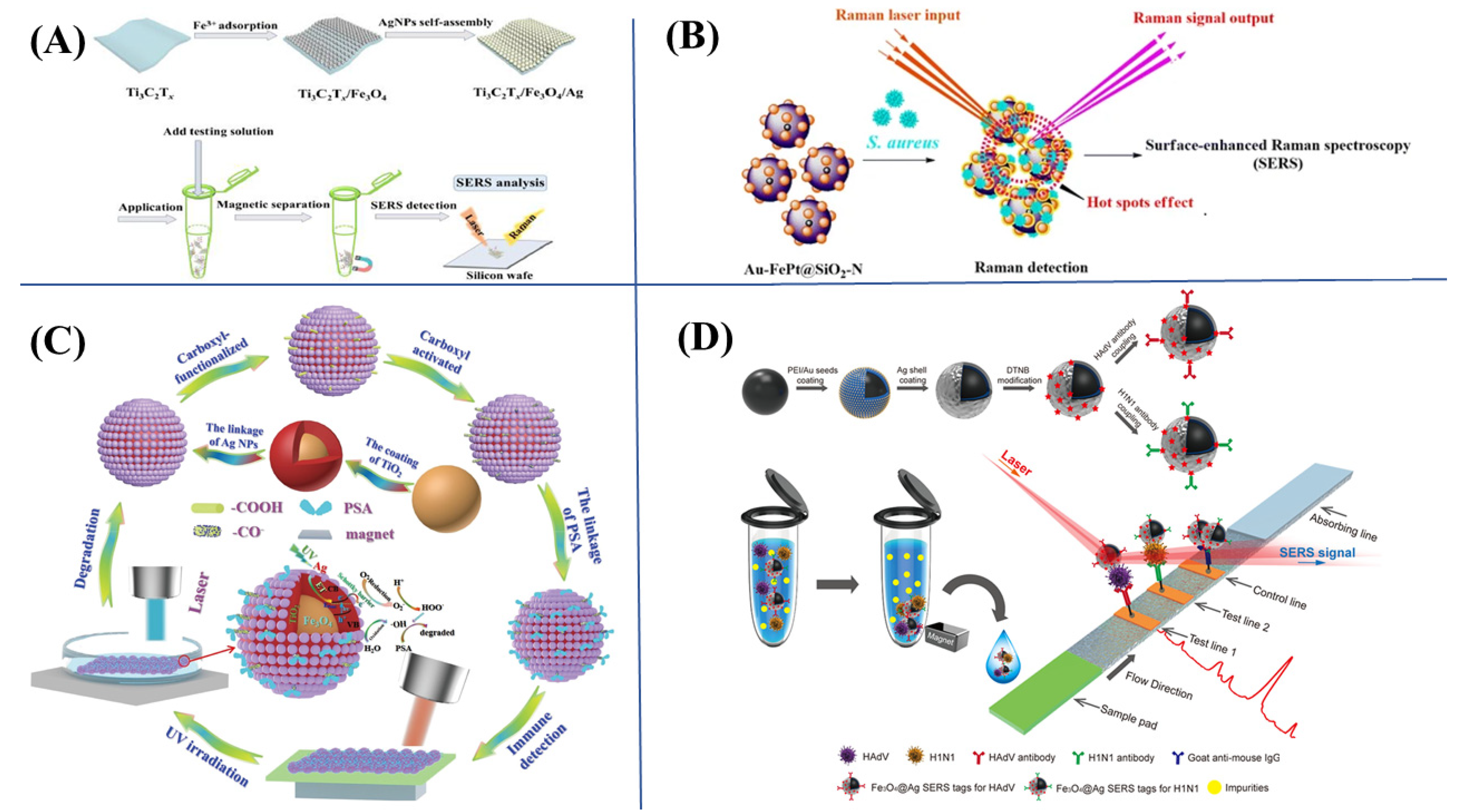 Biosensors 13 00030 g004