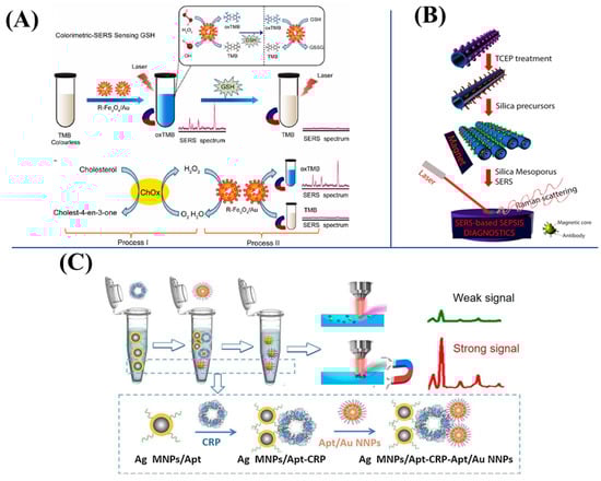 Biosensors 13 00030 g005