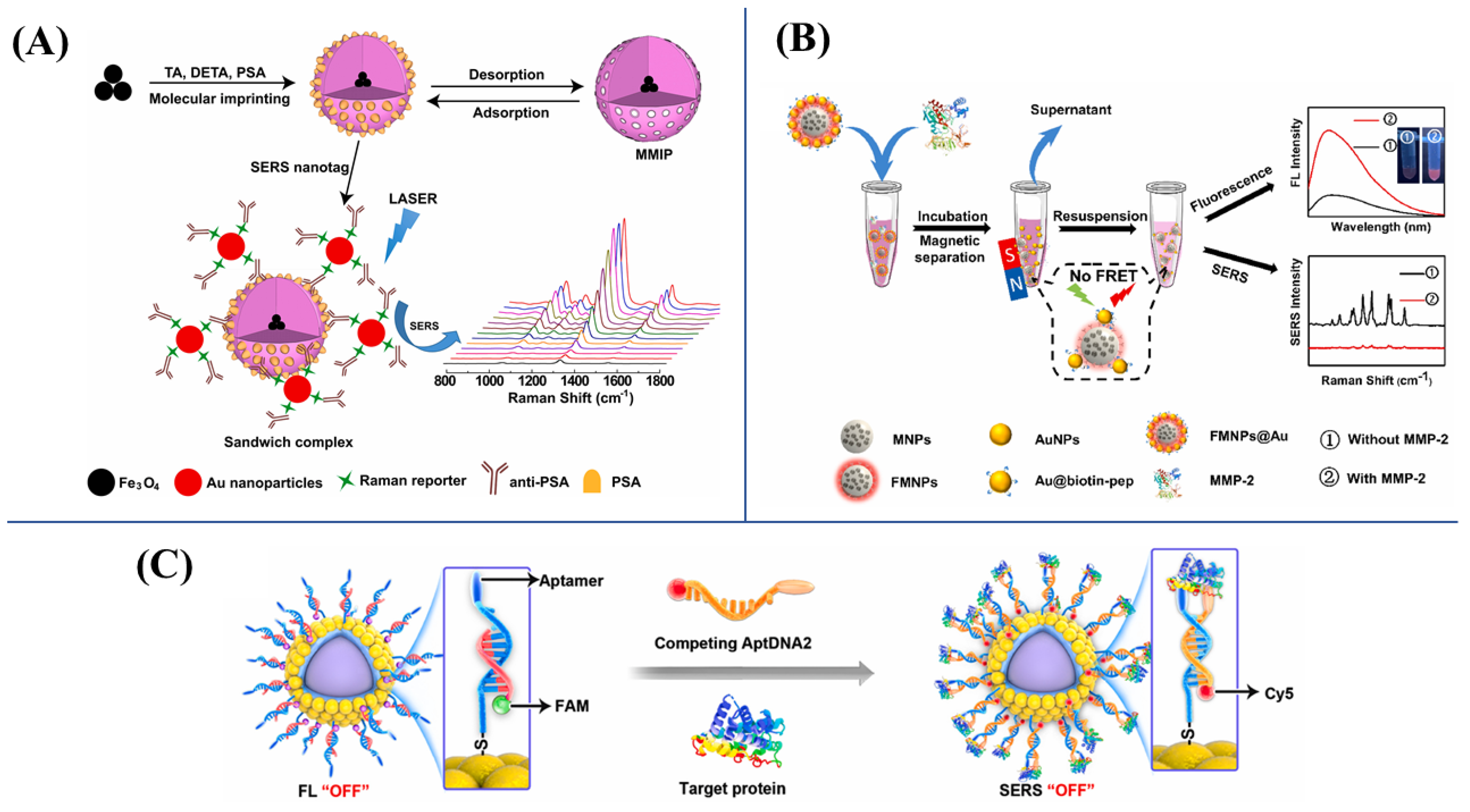 Biosensors 13 00030 g006