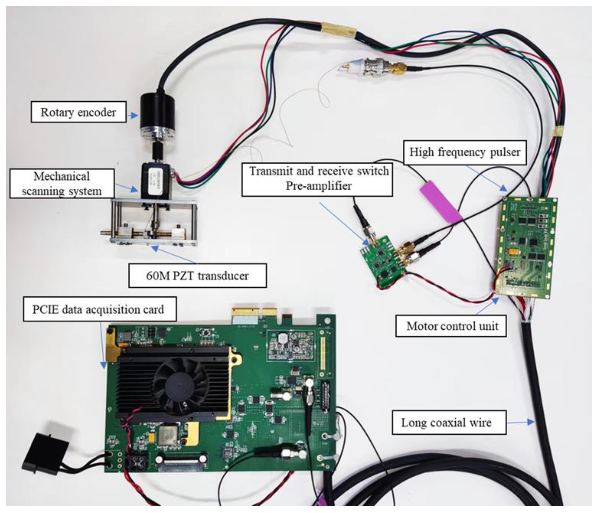 Biosensors 13 00032 g006 Biosensors 13 00032 g006