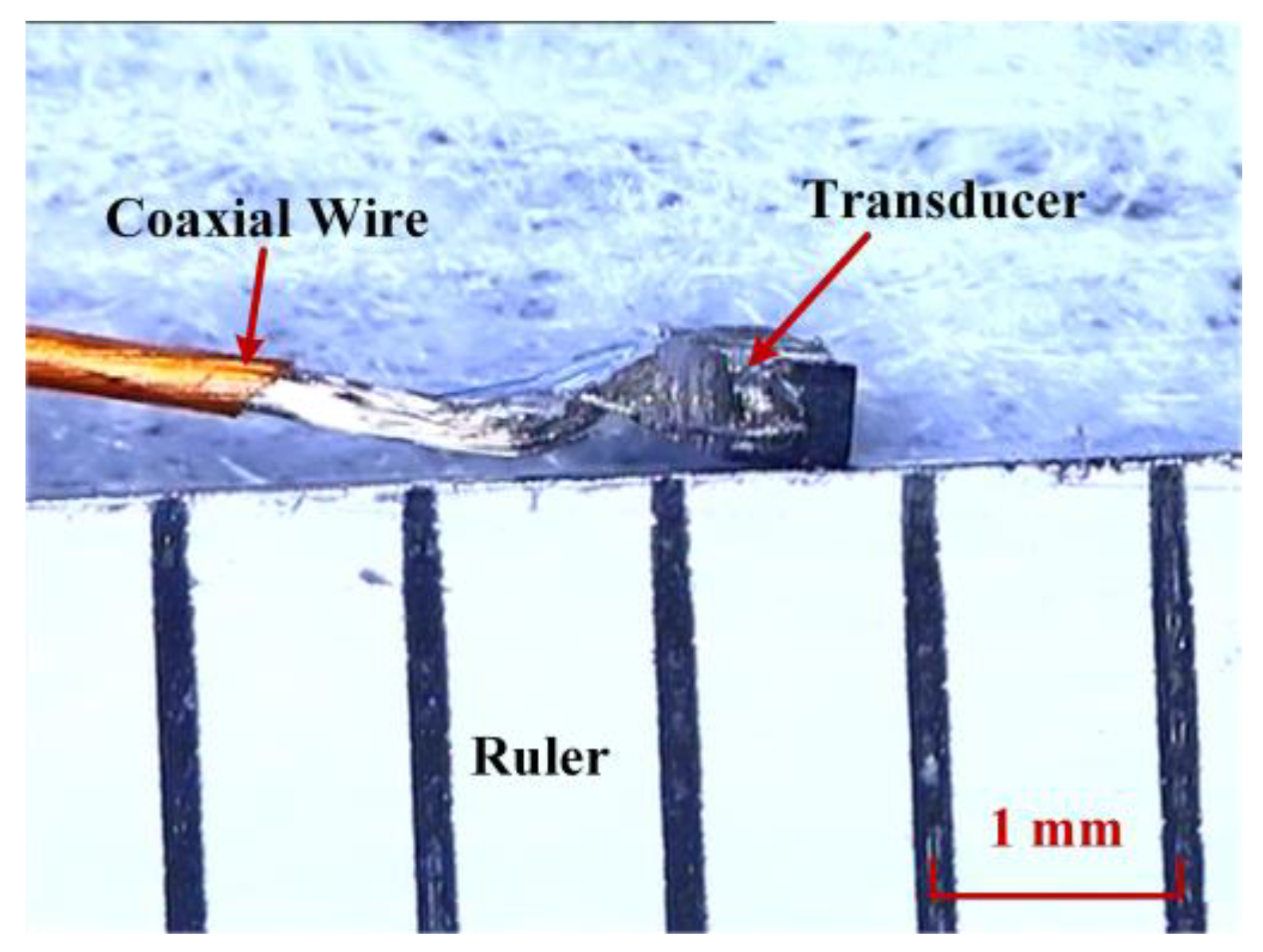 Biosensors 13 00032 g007 Biosensors 13 00032 g007