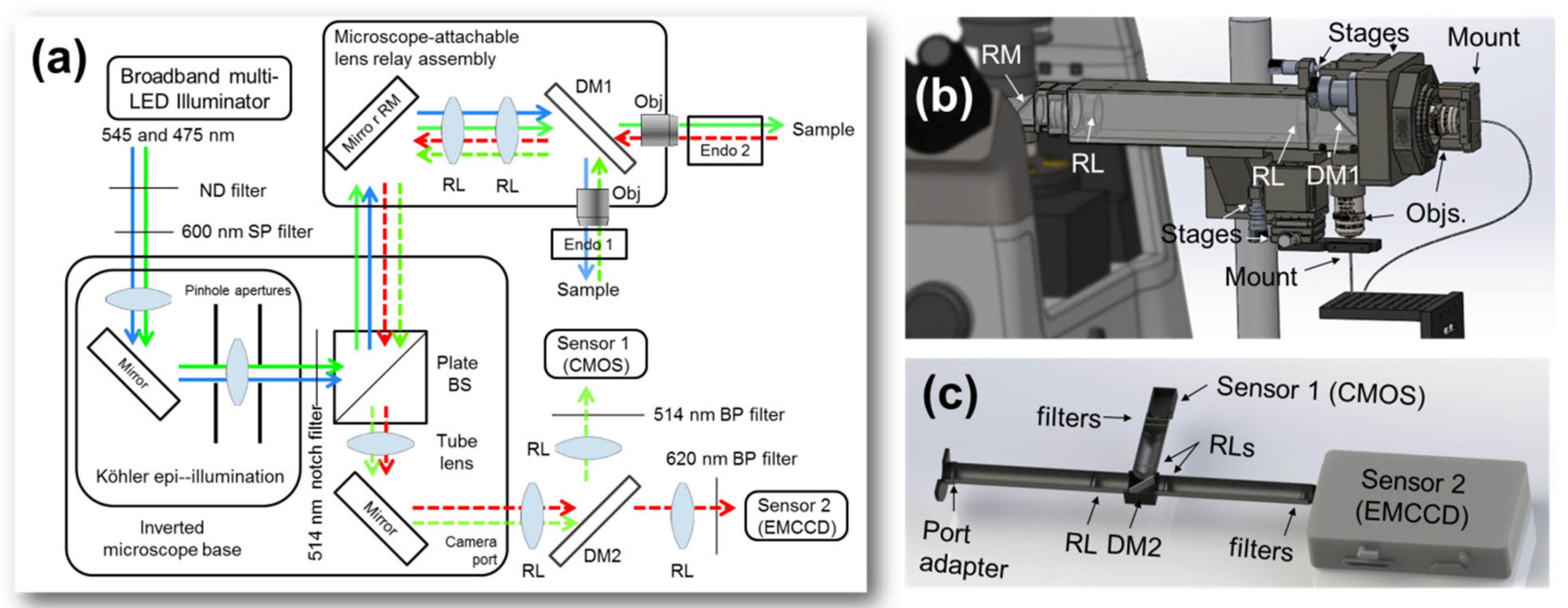 Biosensors 13 00033 g002