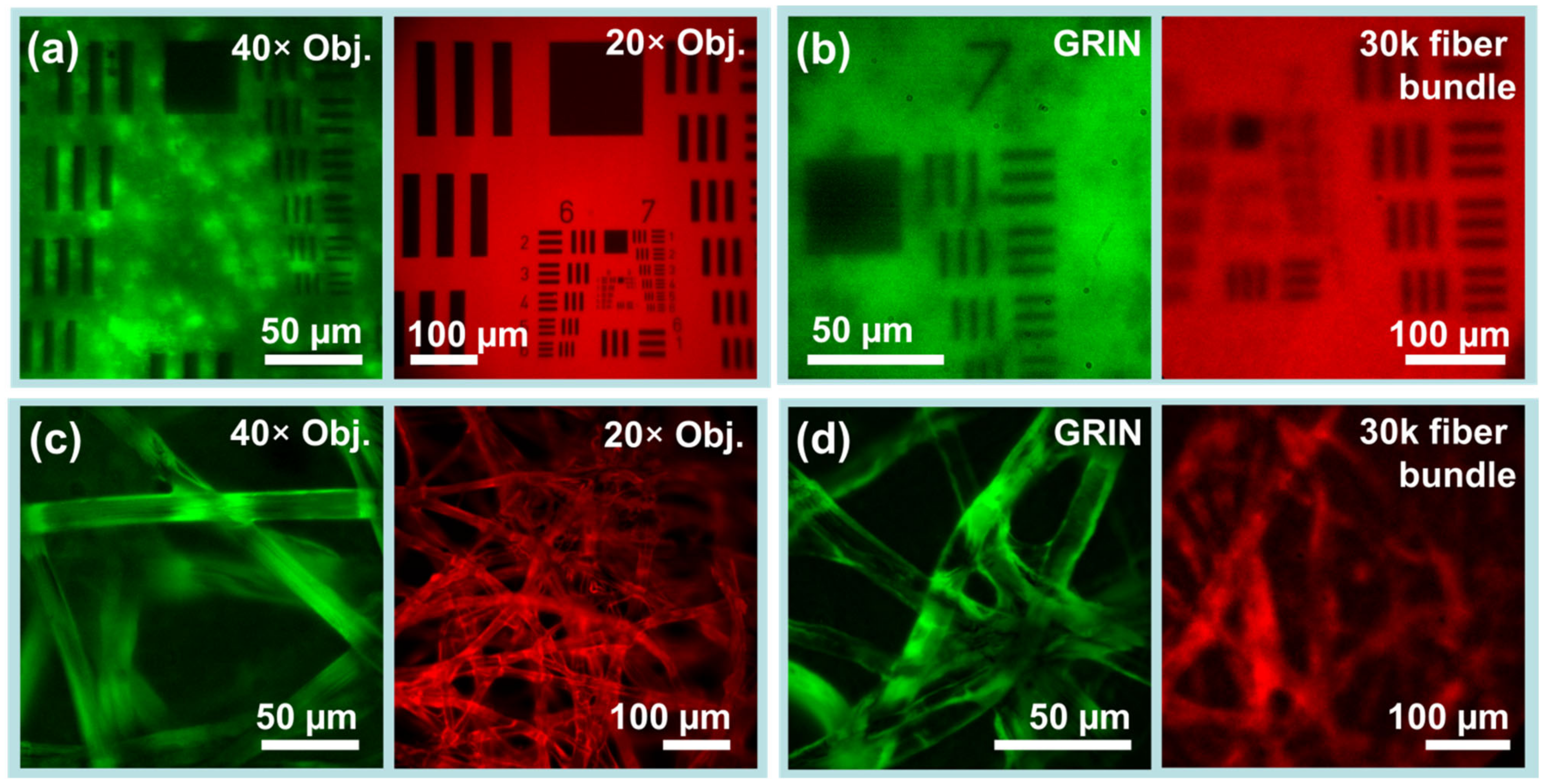 Biosensors 13 00033 g004