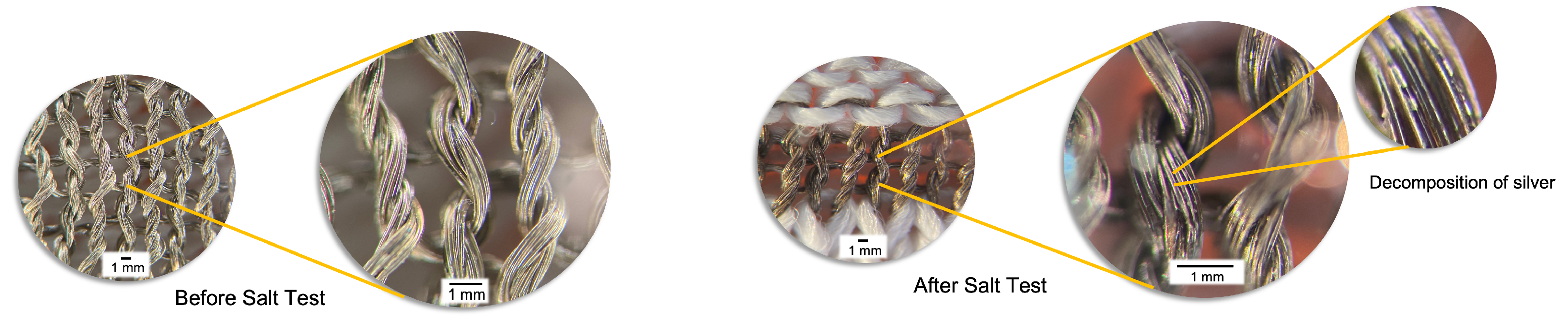 Biosensors 13 00034 g013