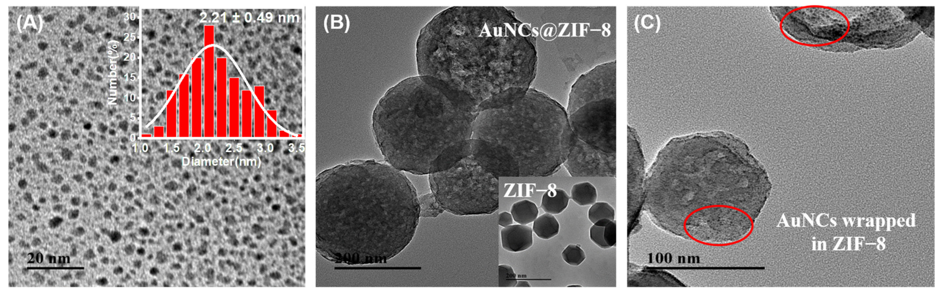 Biosensors 13 00035 g001