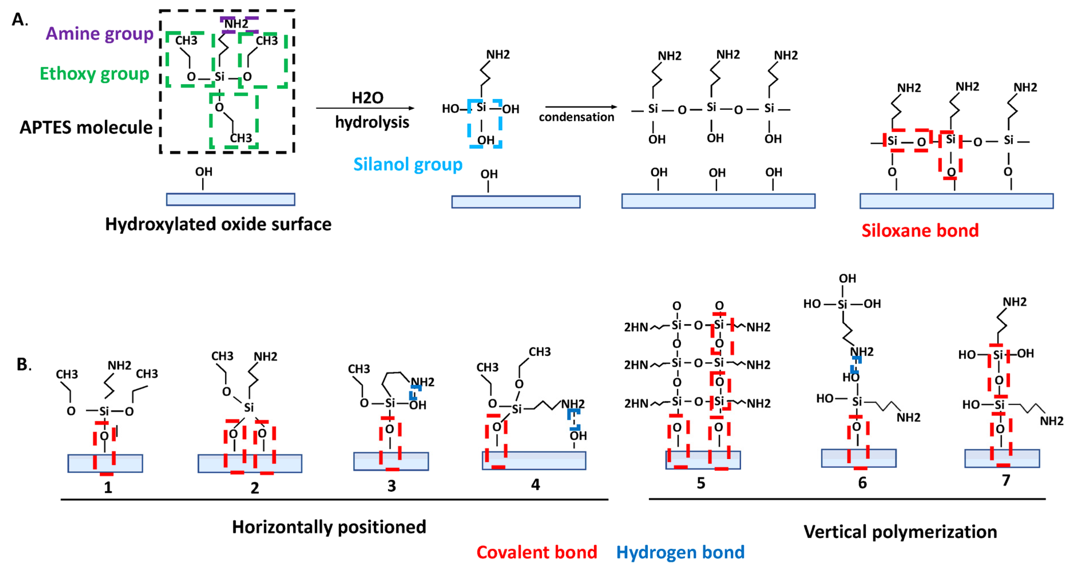 Biosensors 13 00036 g001