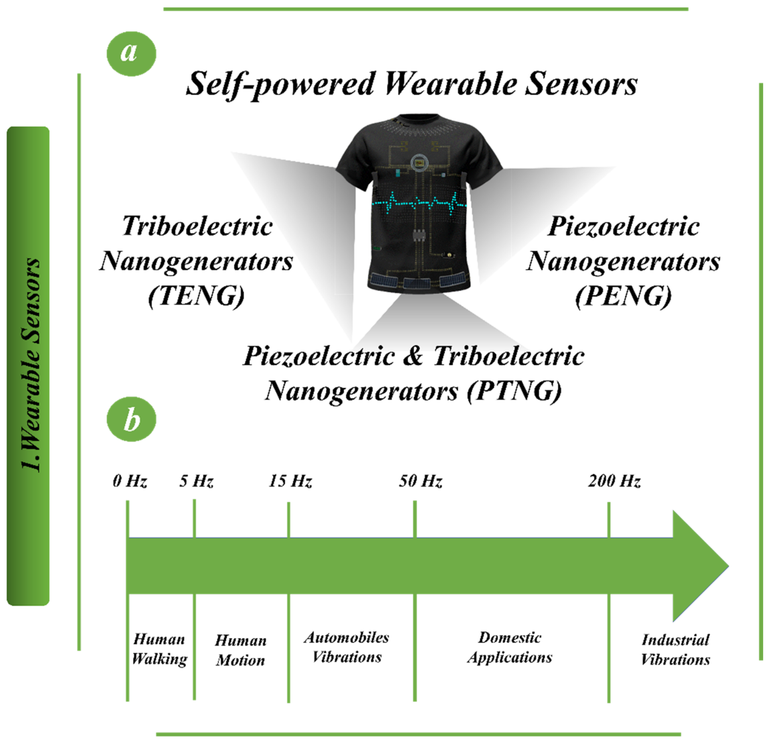Biosensors 13 00037 g001