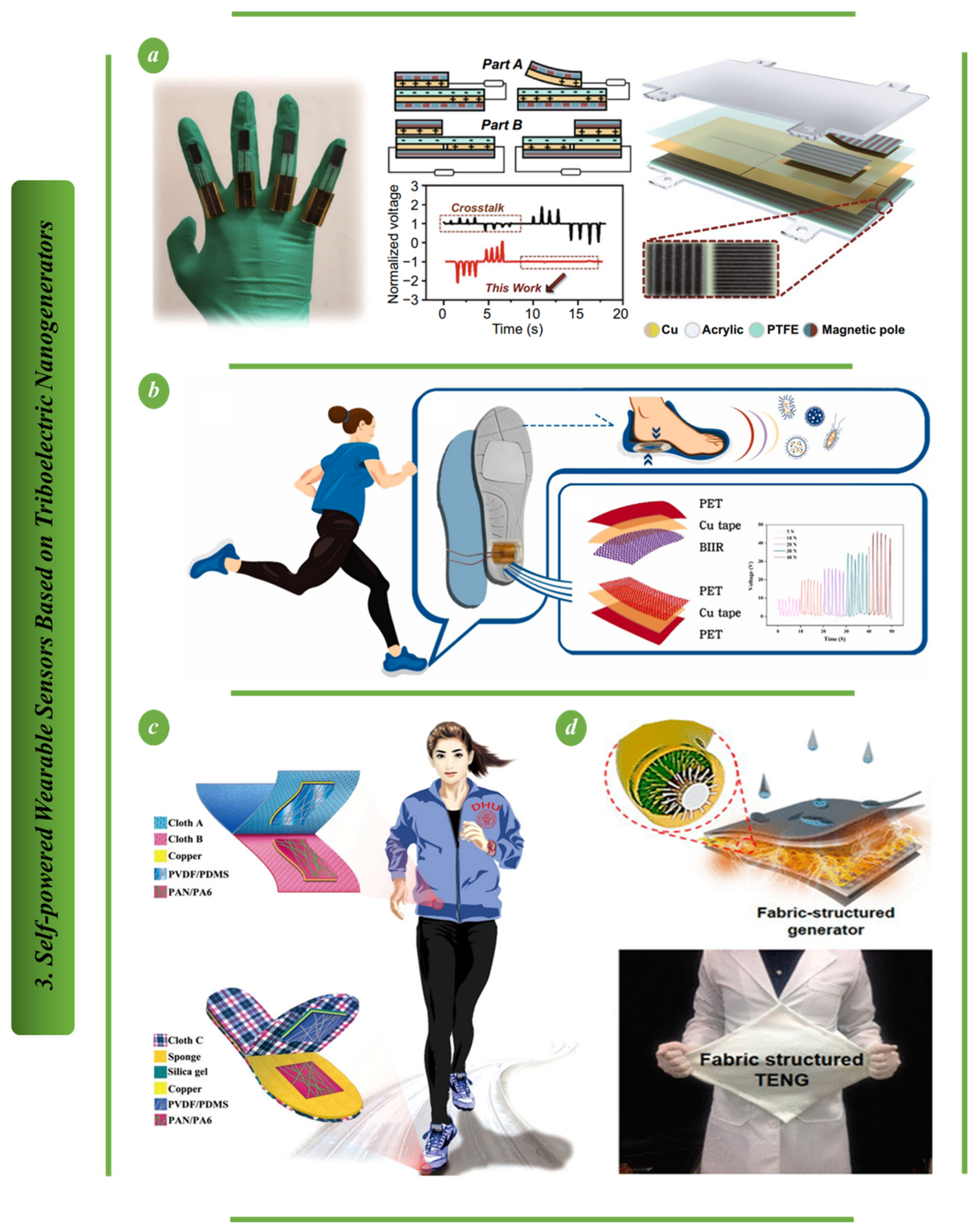 Biosensors 13 00037 g003
