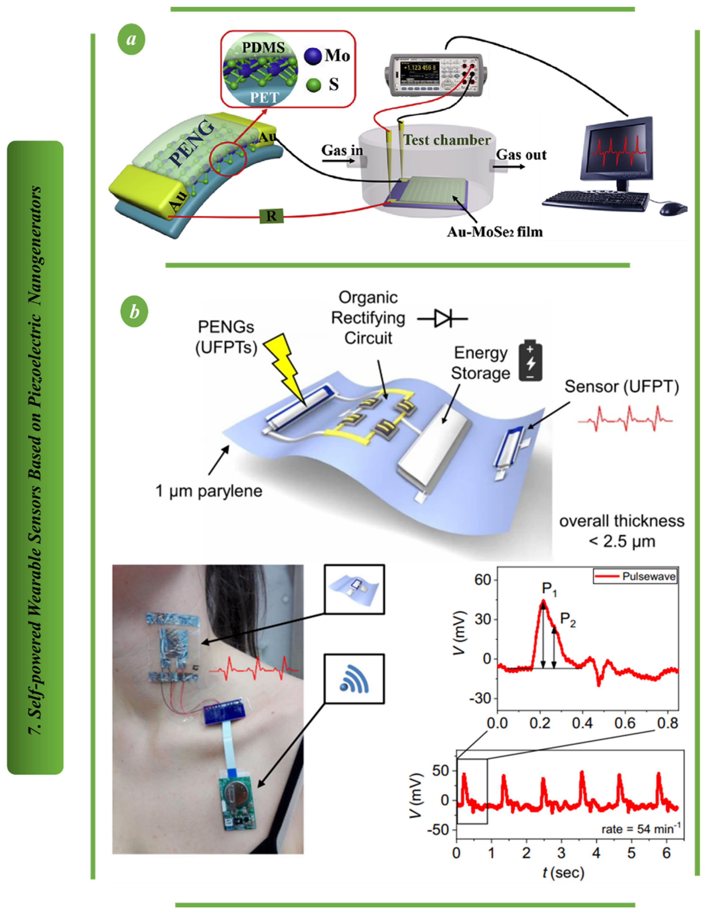 Biosensors 13 00037 g007