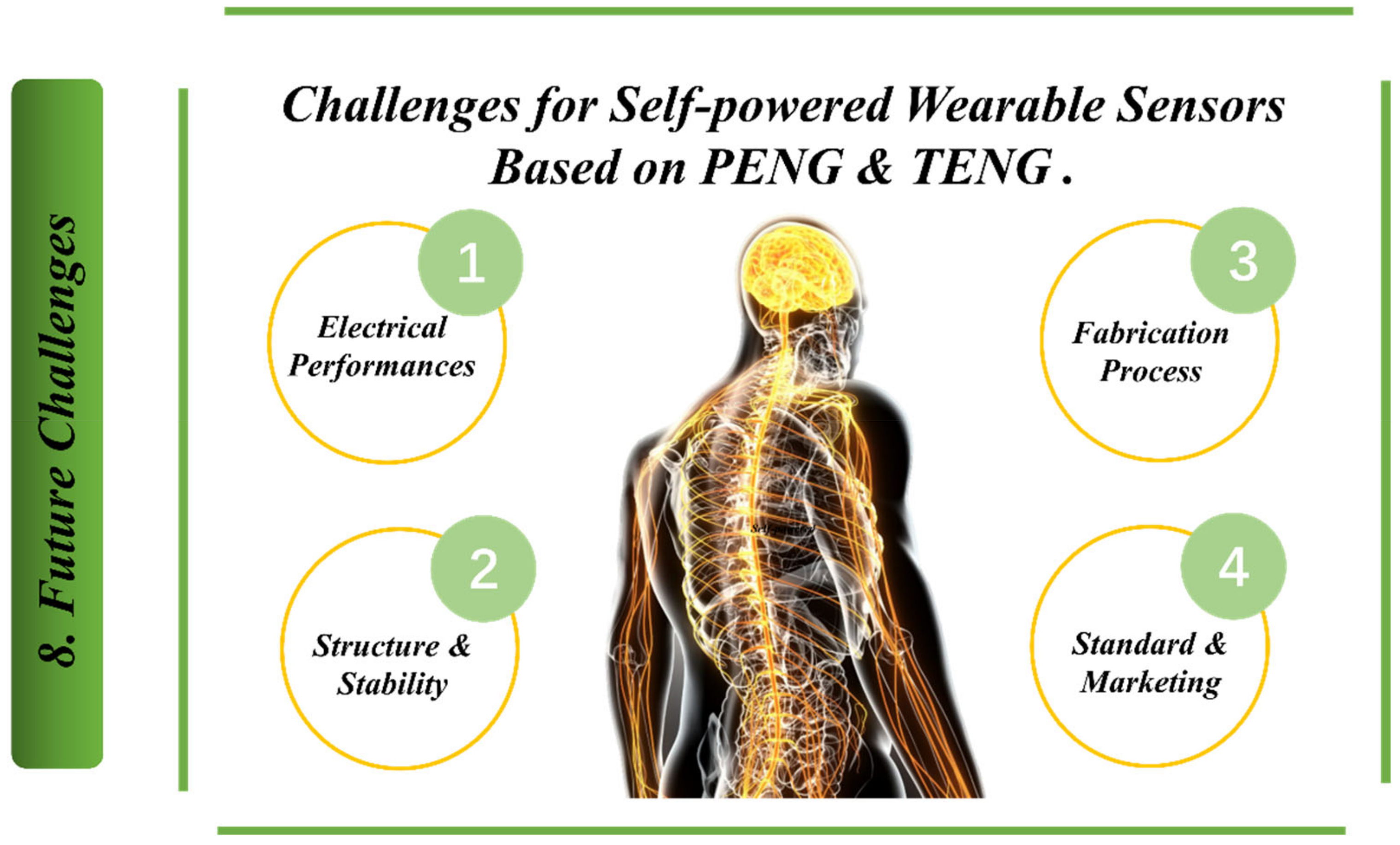 Biosensors 13 00037 g012