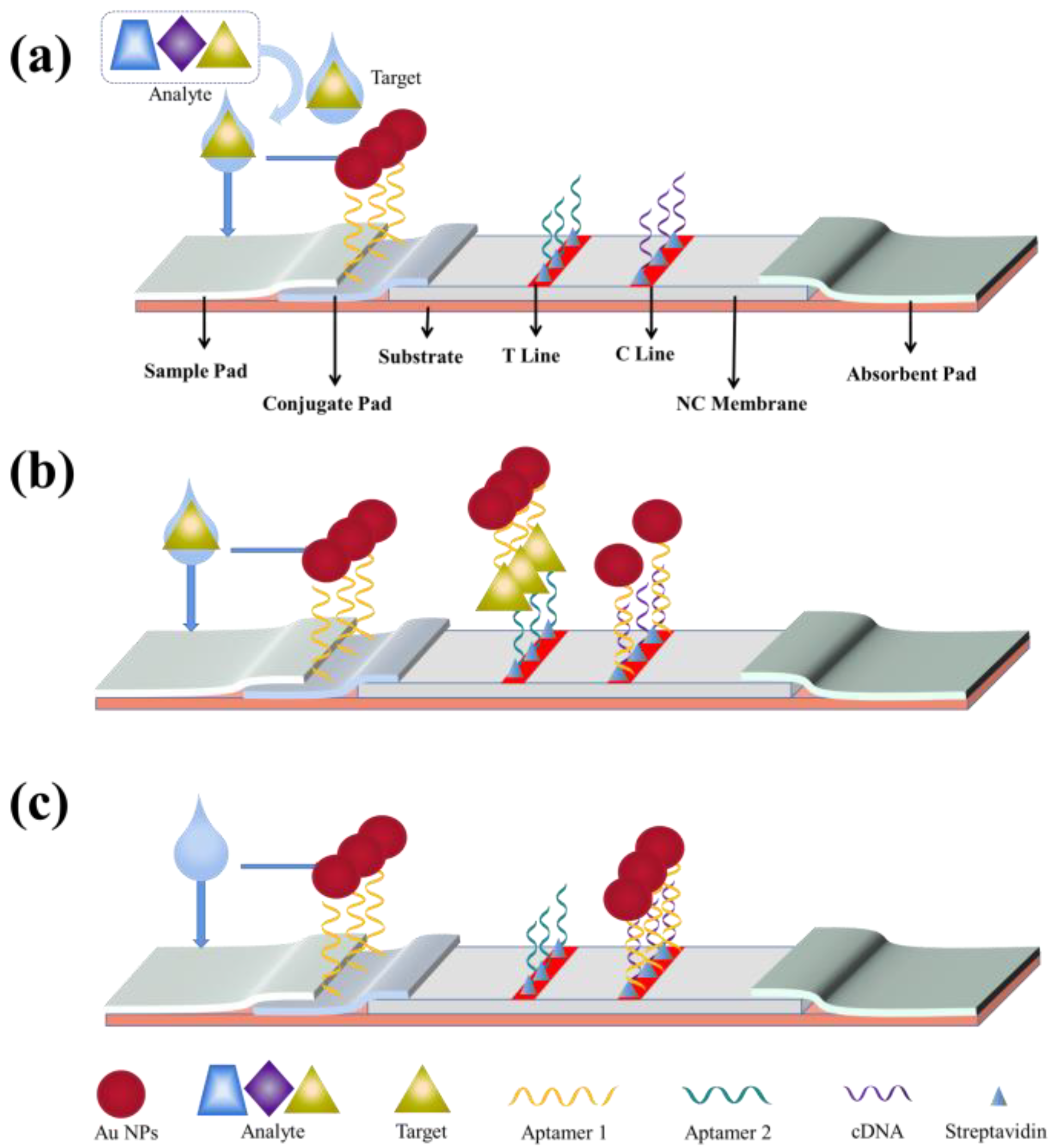 Biosensors 13 00039 g002