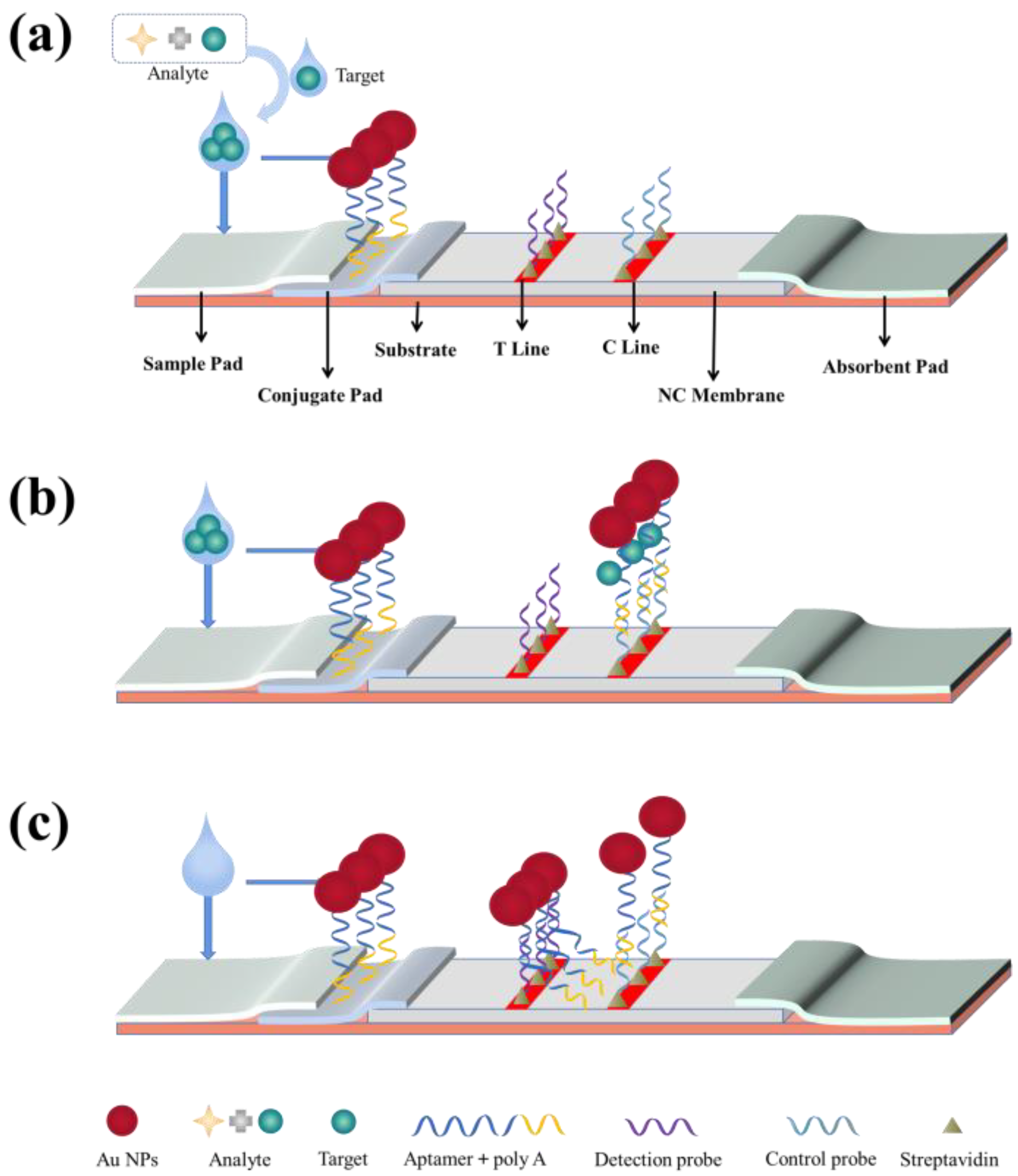 Biosensors 13 00039 g003