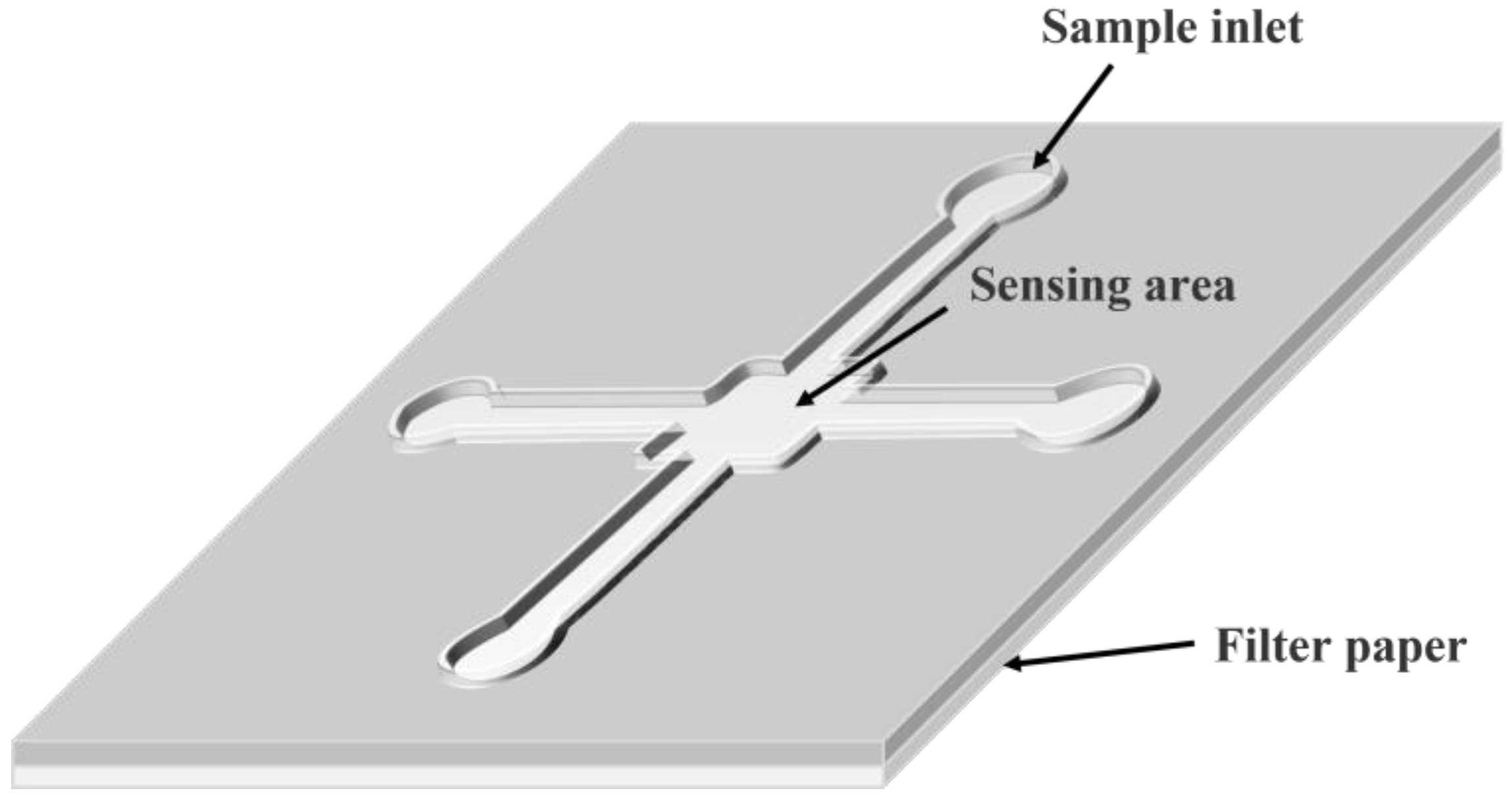 Biosensors 13 00039 g004