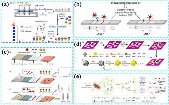 Biosensors 13 00039 g006