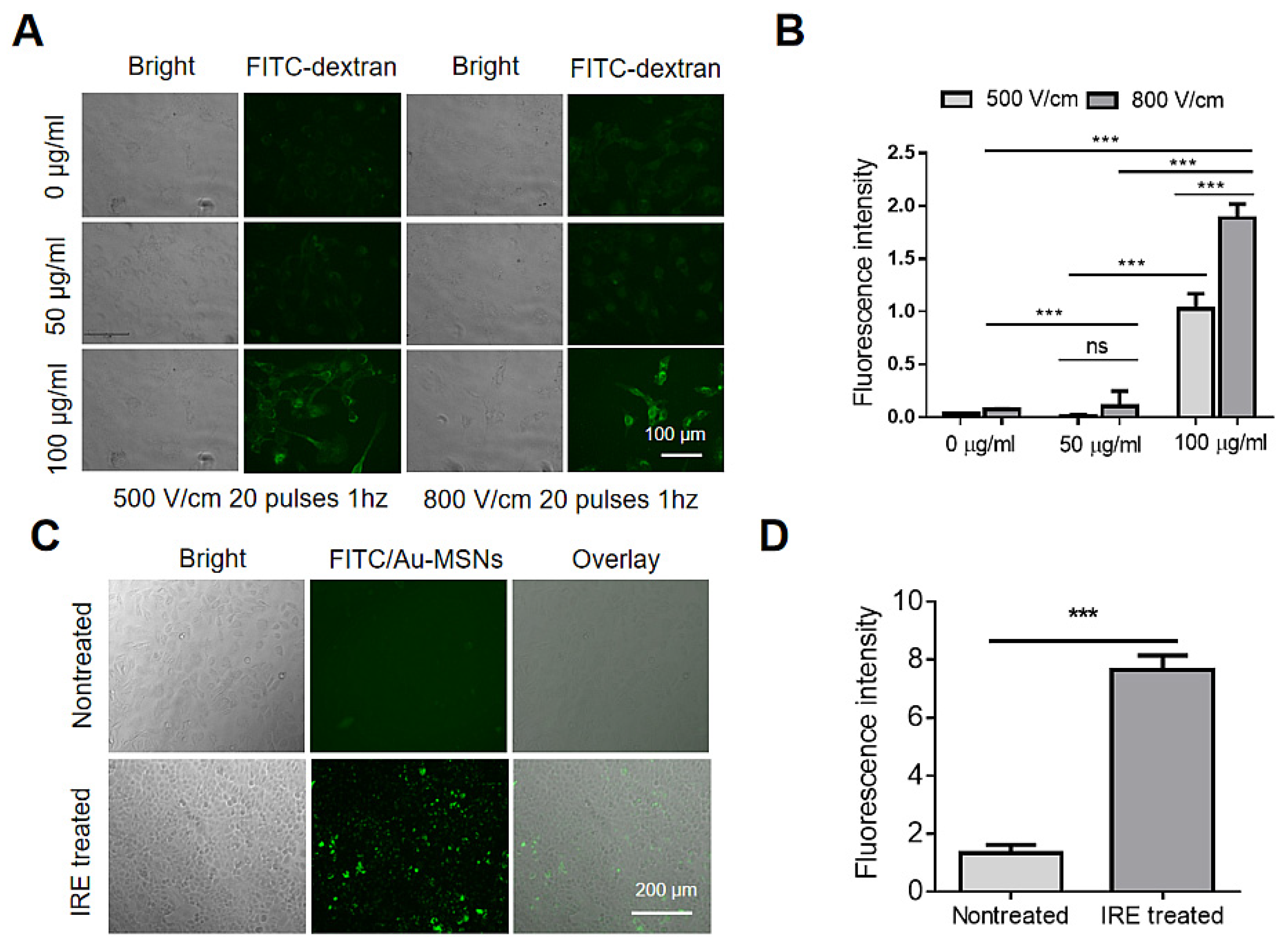 Biosensors 13 00041 g002 Biosensors 13 00041 g002