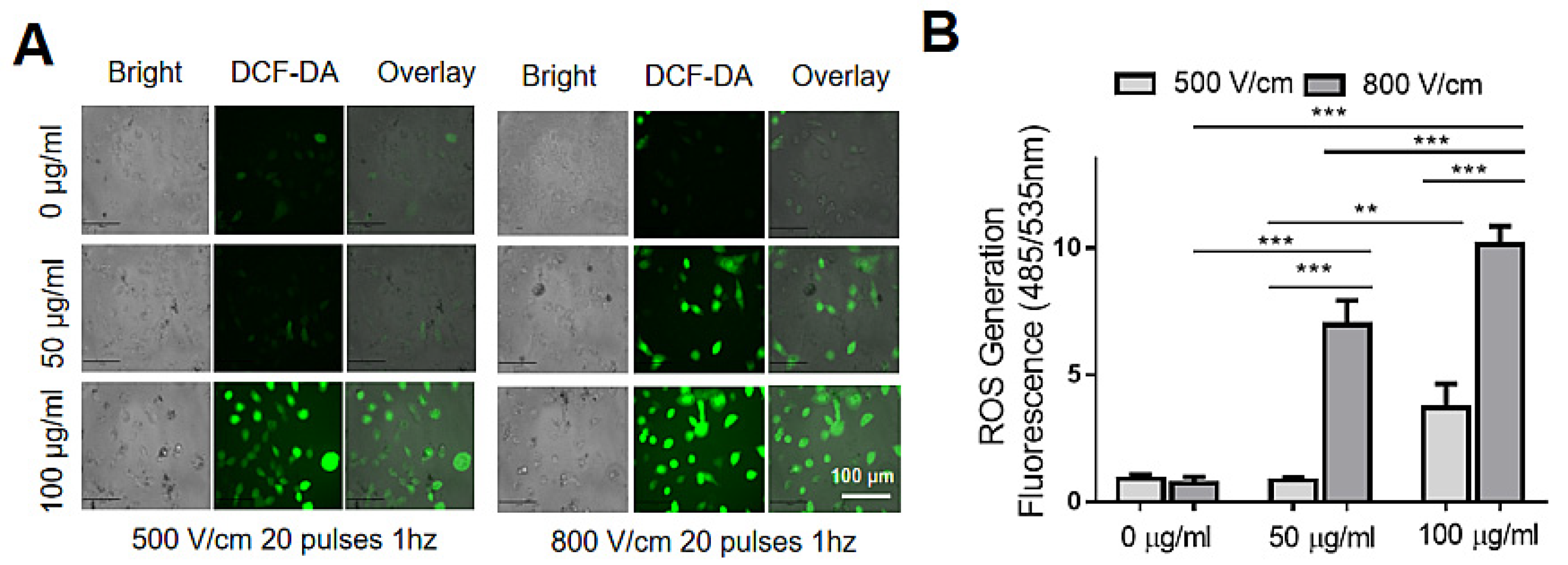 Biosensors 13 00041 g003 Biosensors 13 00041 g003