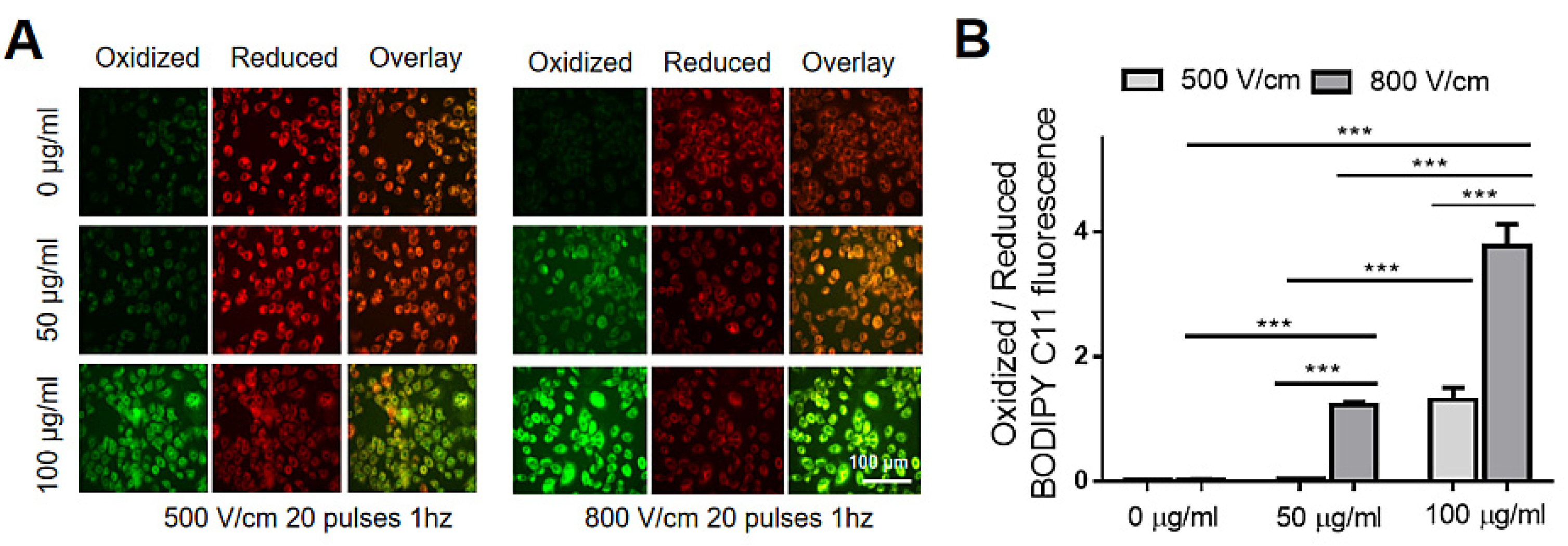 Biosensors 13 00041 g004 Biosensors 13 00041 g004