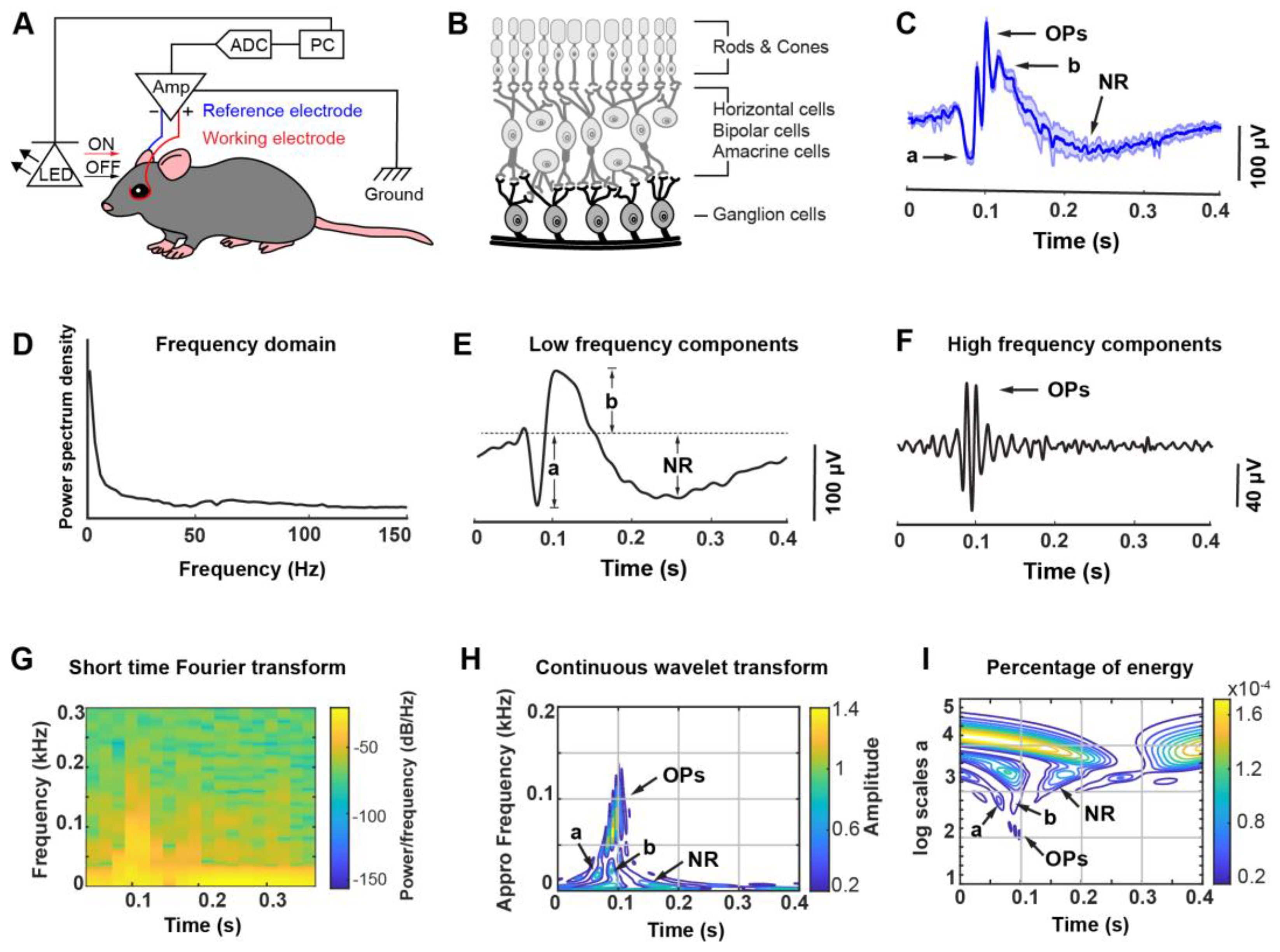 Biosensors 13 00042 g001