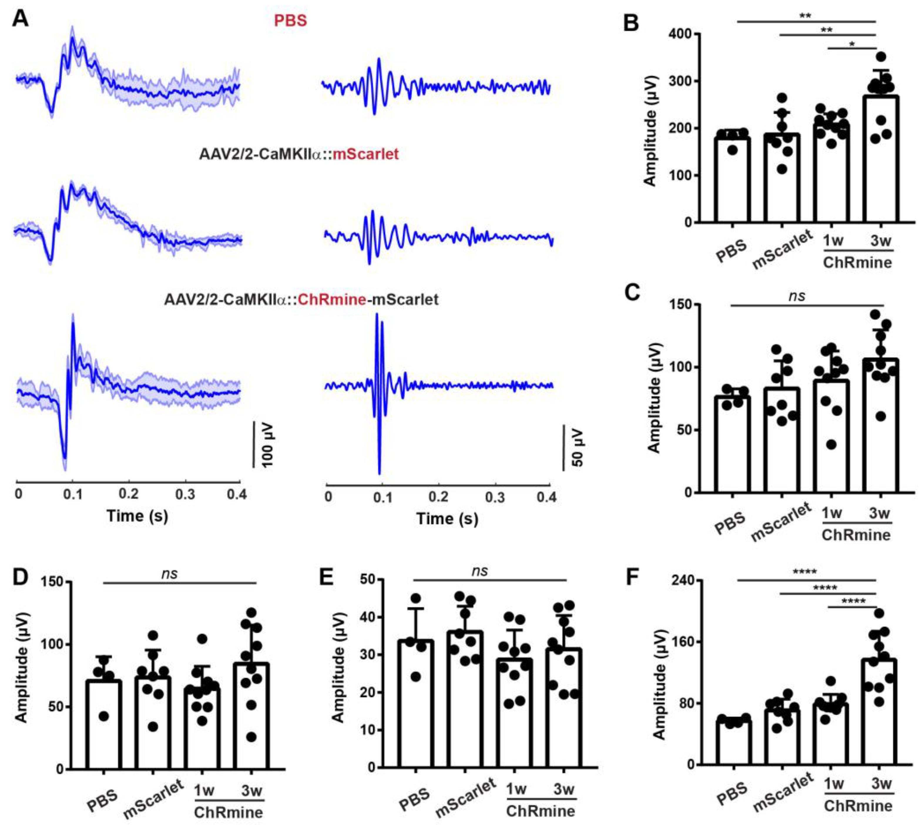 Biosensors 13 00042 g004