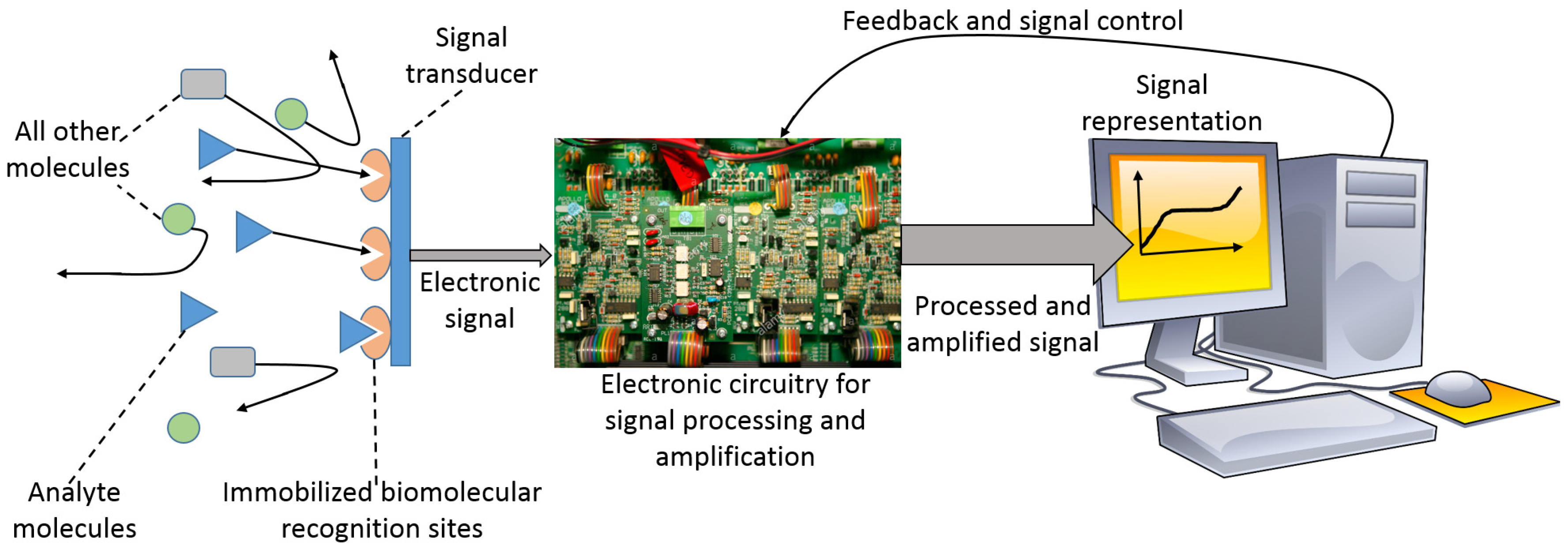 Biosensors 13 00044 g001