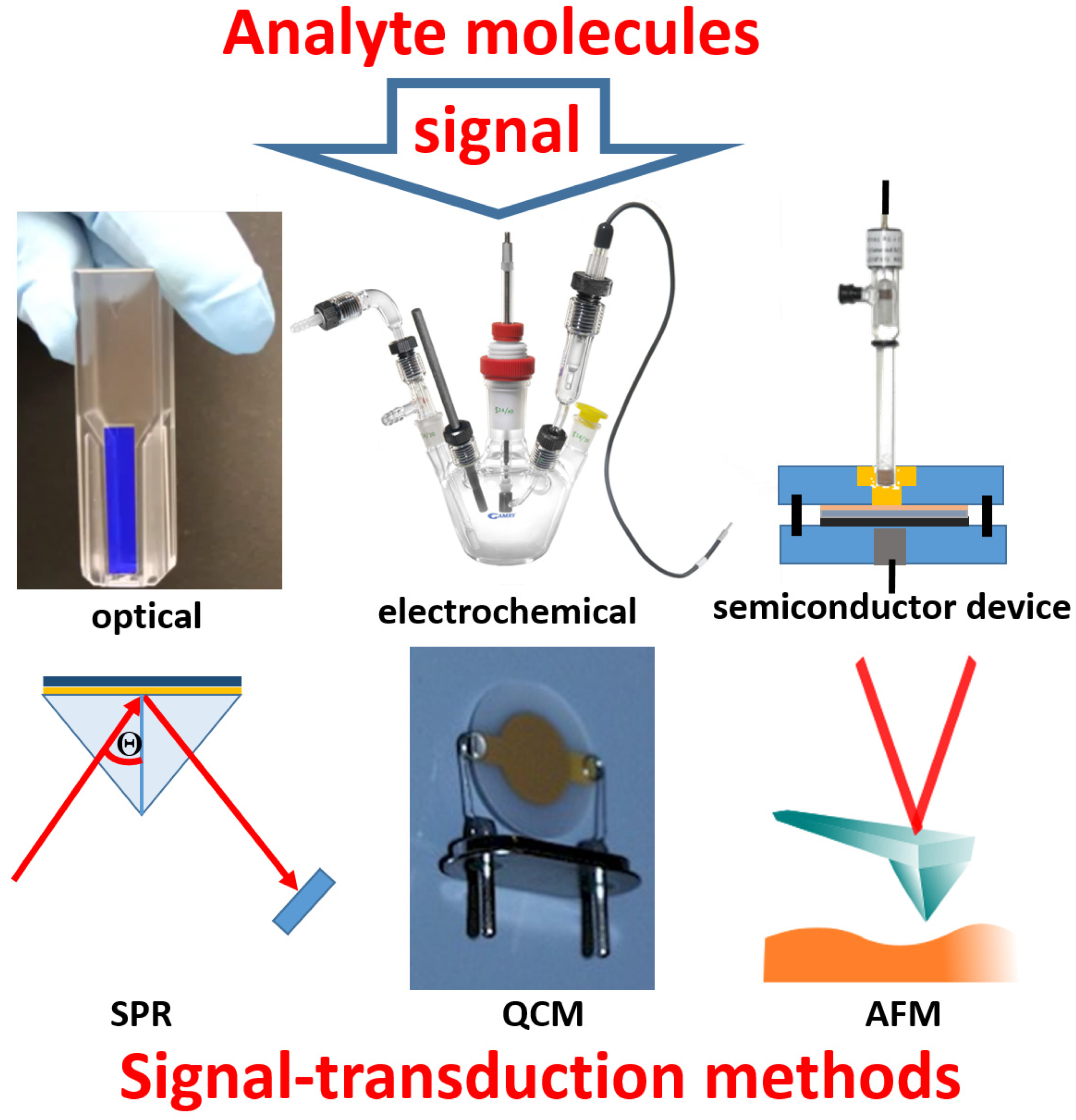 Biosensors 13 00044 g002