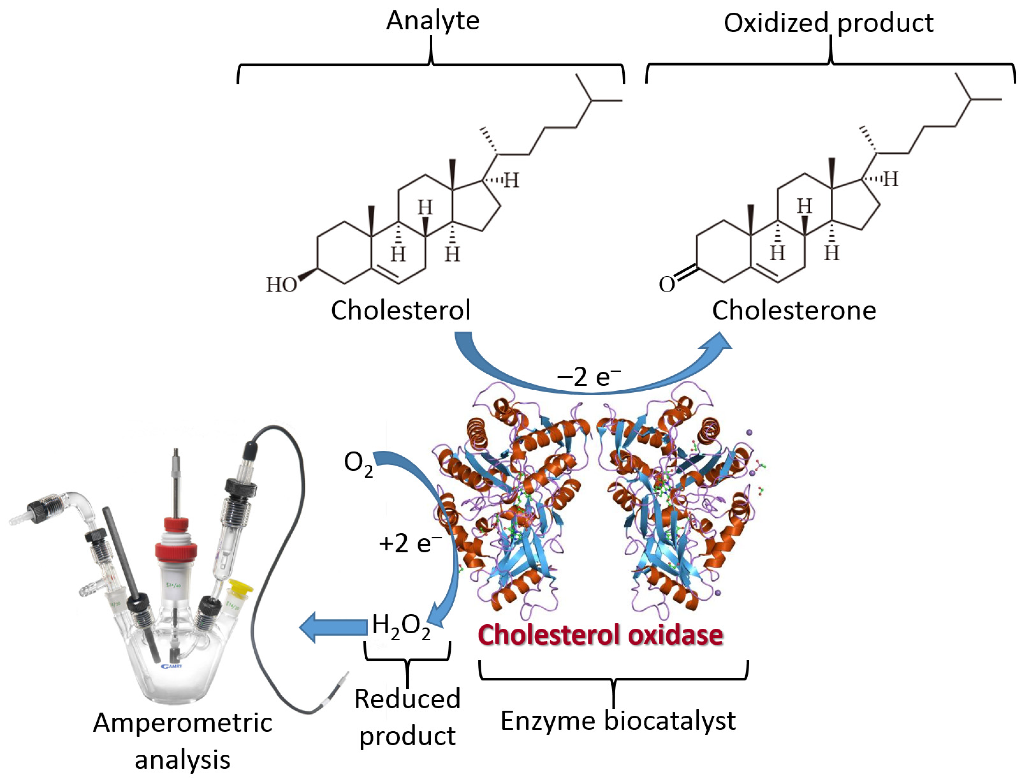 Biosensors 13 00044 g003