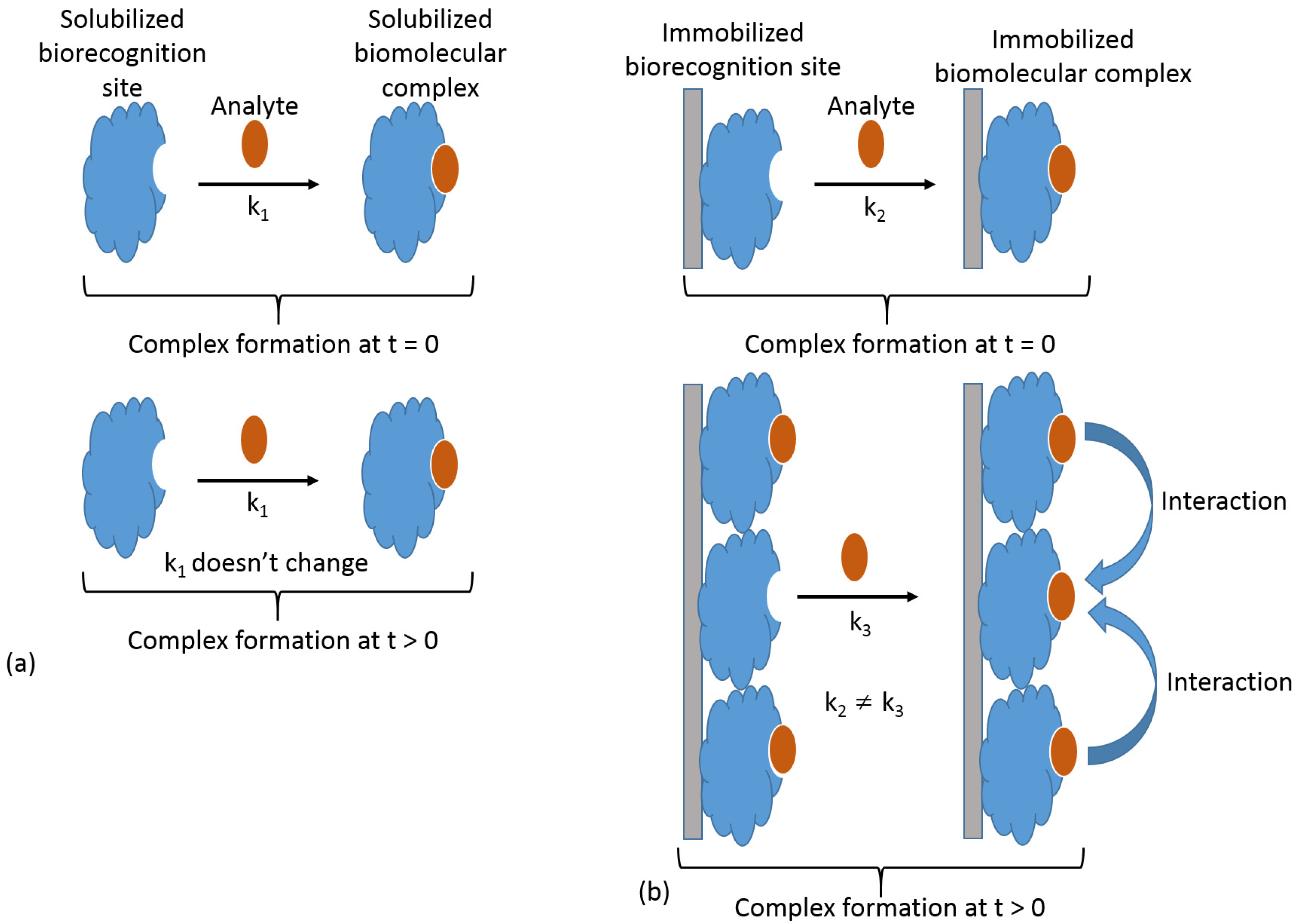 Biosensors 13 00044 g006