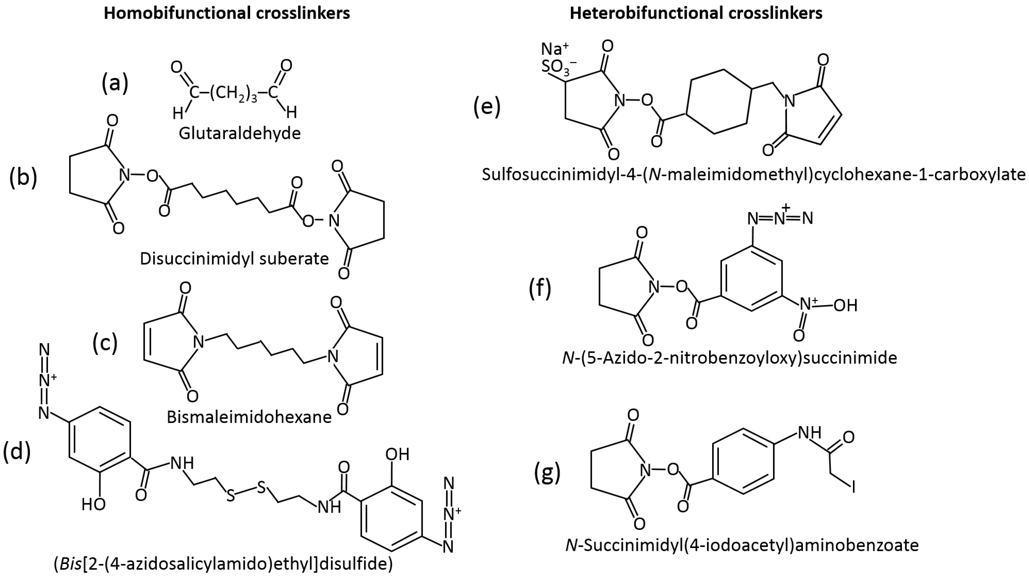 Biosensors 13 00044 g009