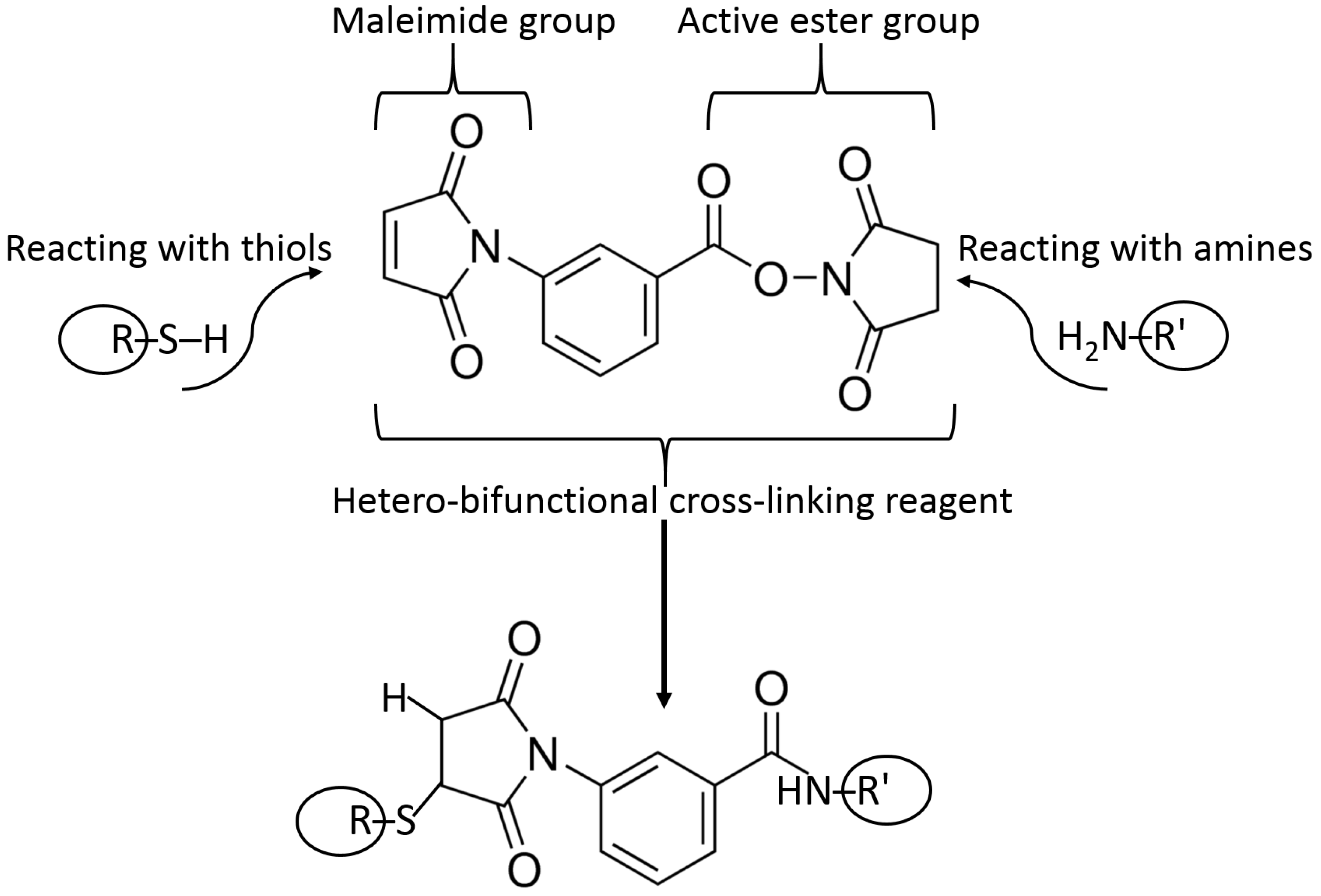 Biosensors 13 00044 g011