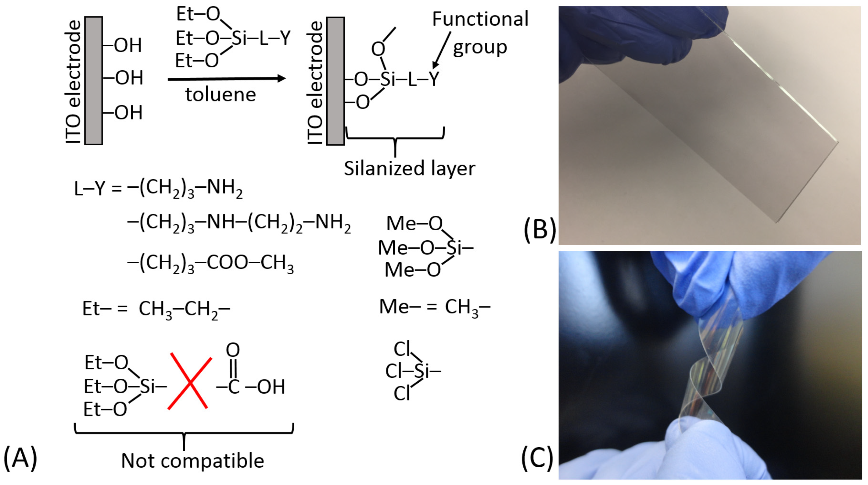 Biosensors 13 00044 g013