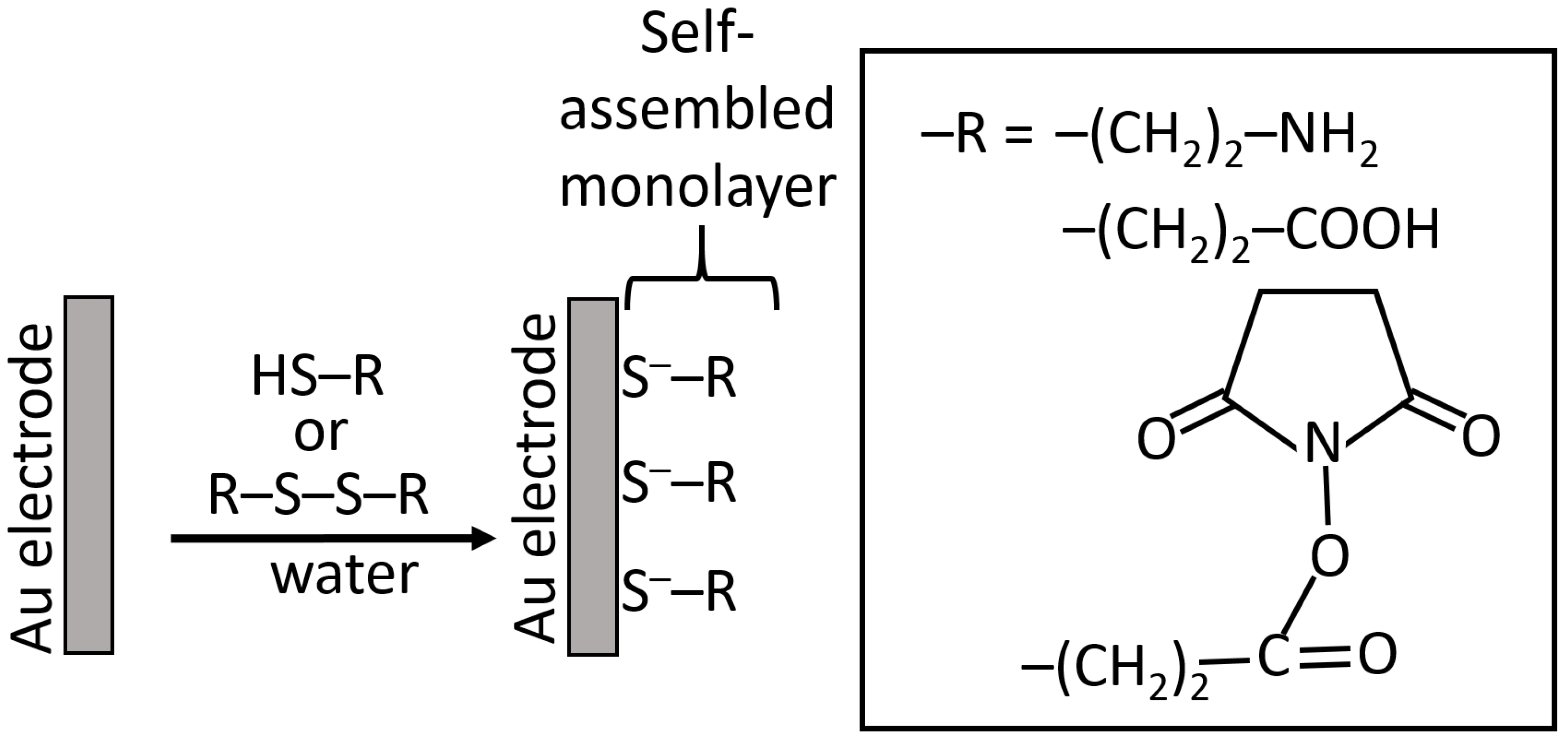 Biosensors 13 00044 g015