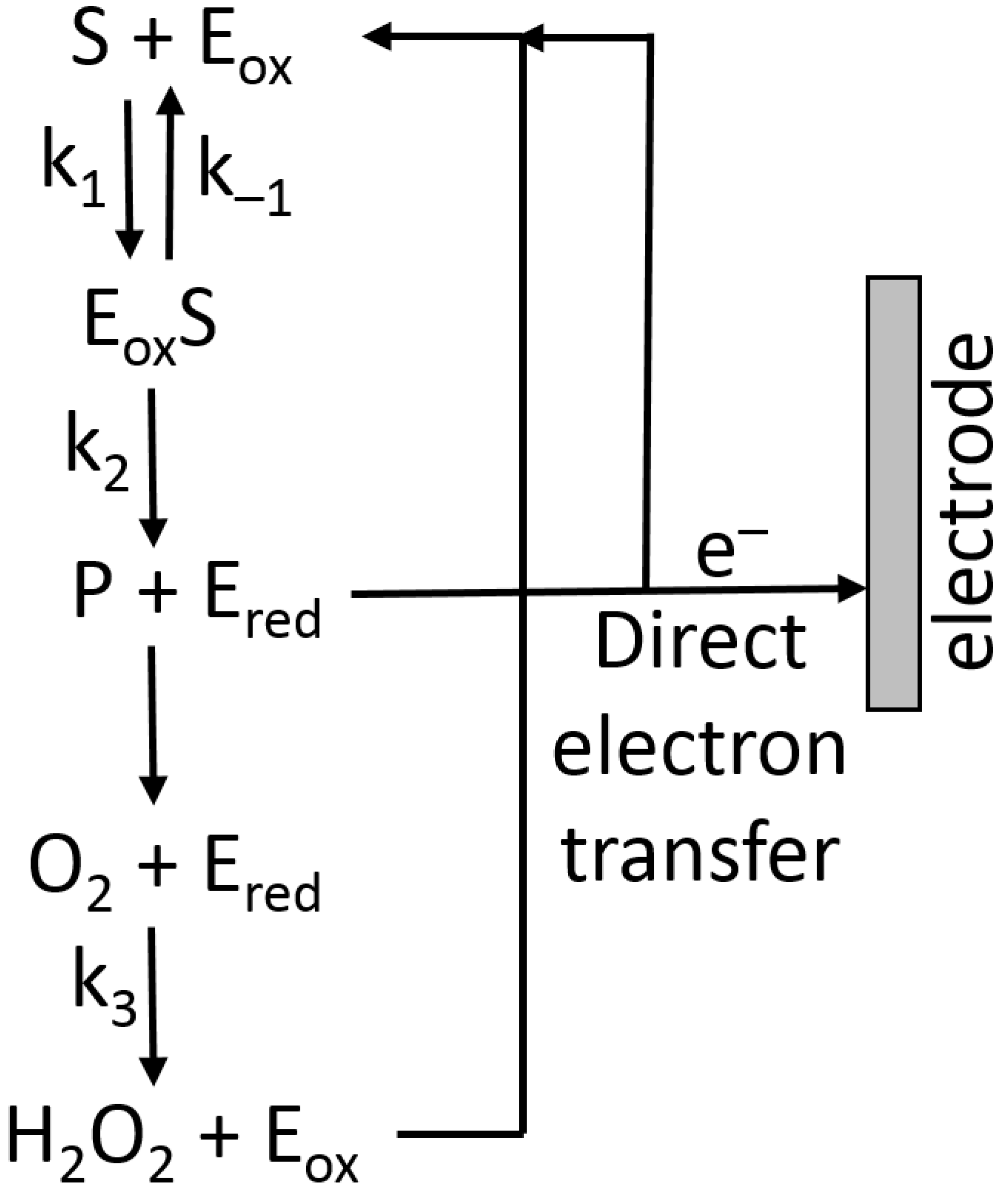 Biosensors 13 00044 g016