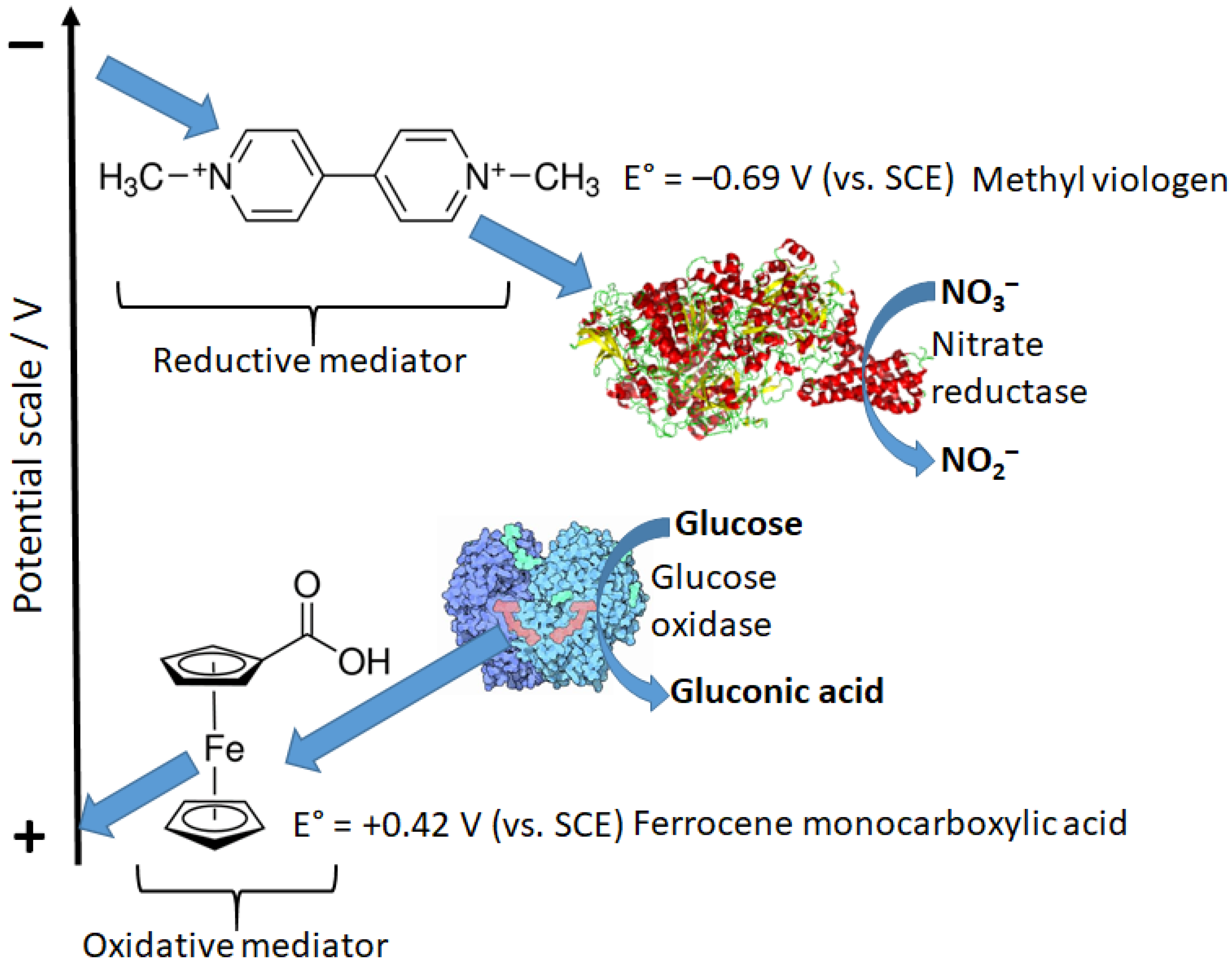 Biosensors 13 00044 g017