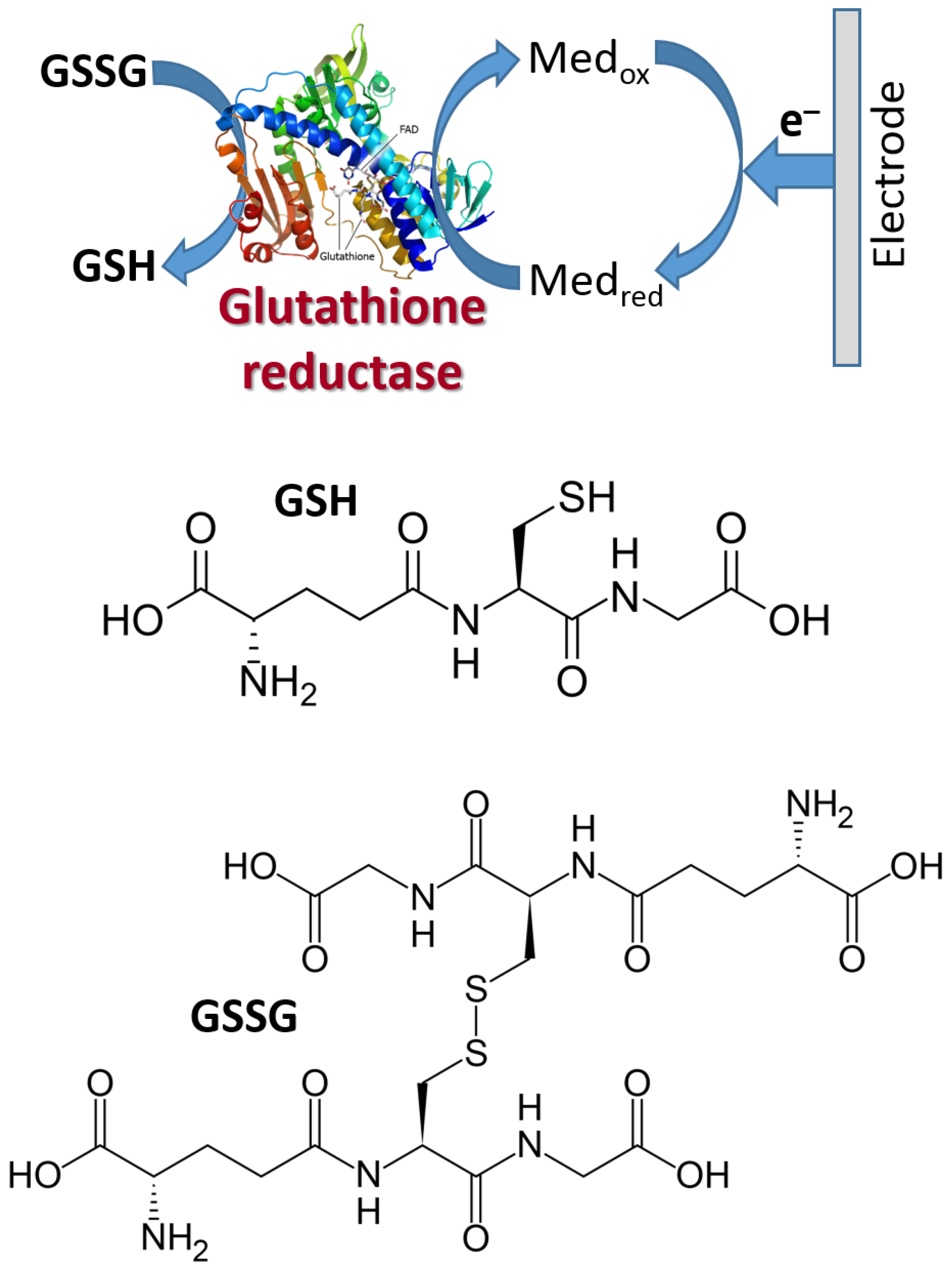 Biosensors 13 00044 g018
