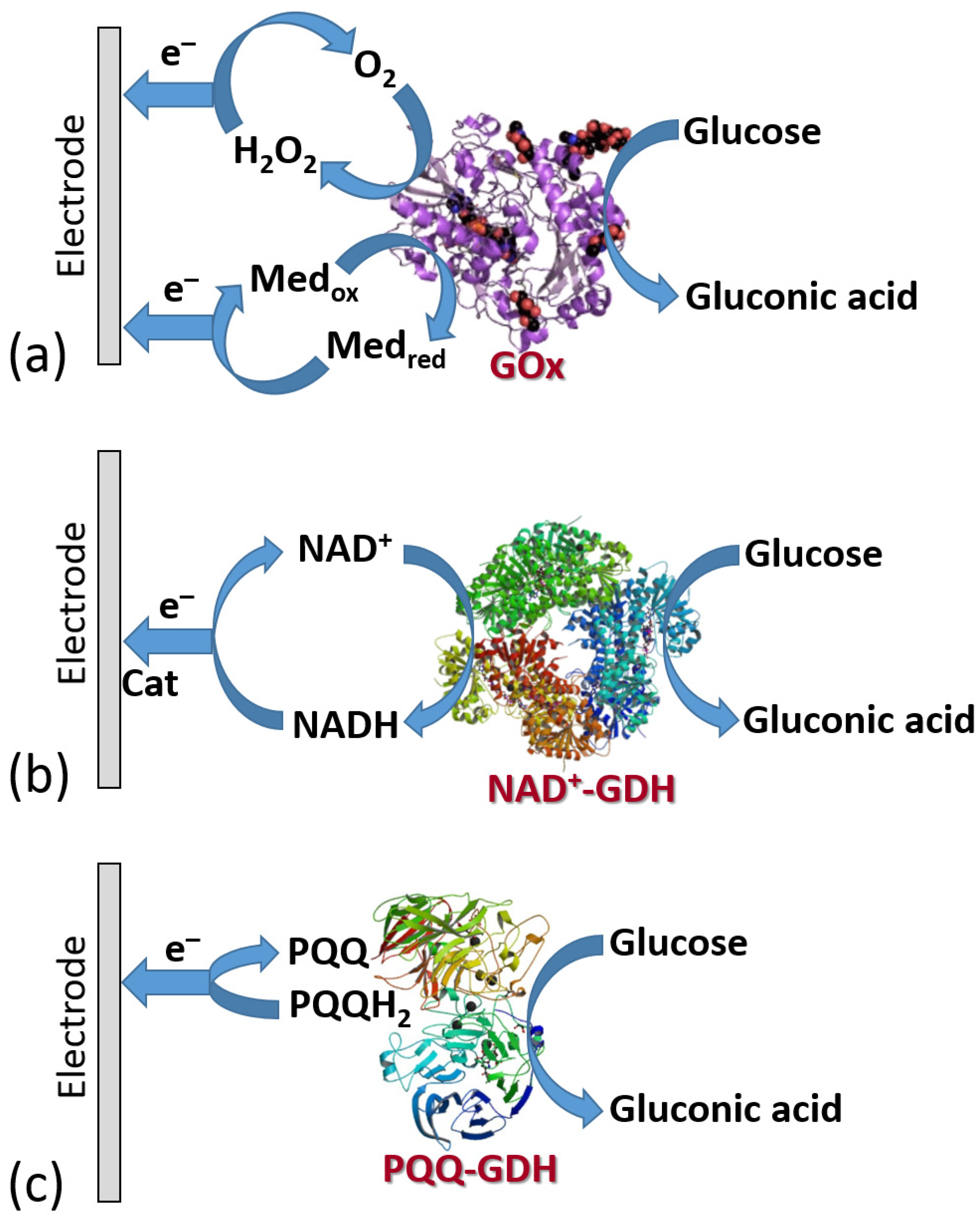 Biosensors 13 00044 g019