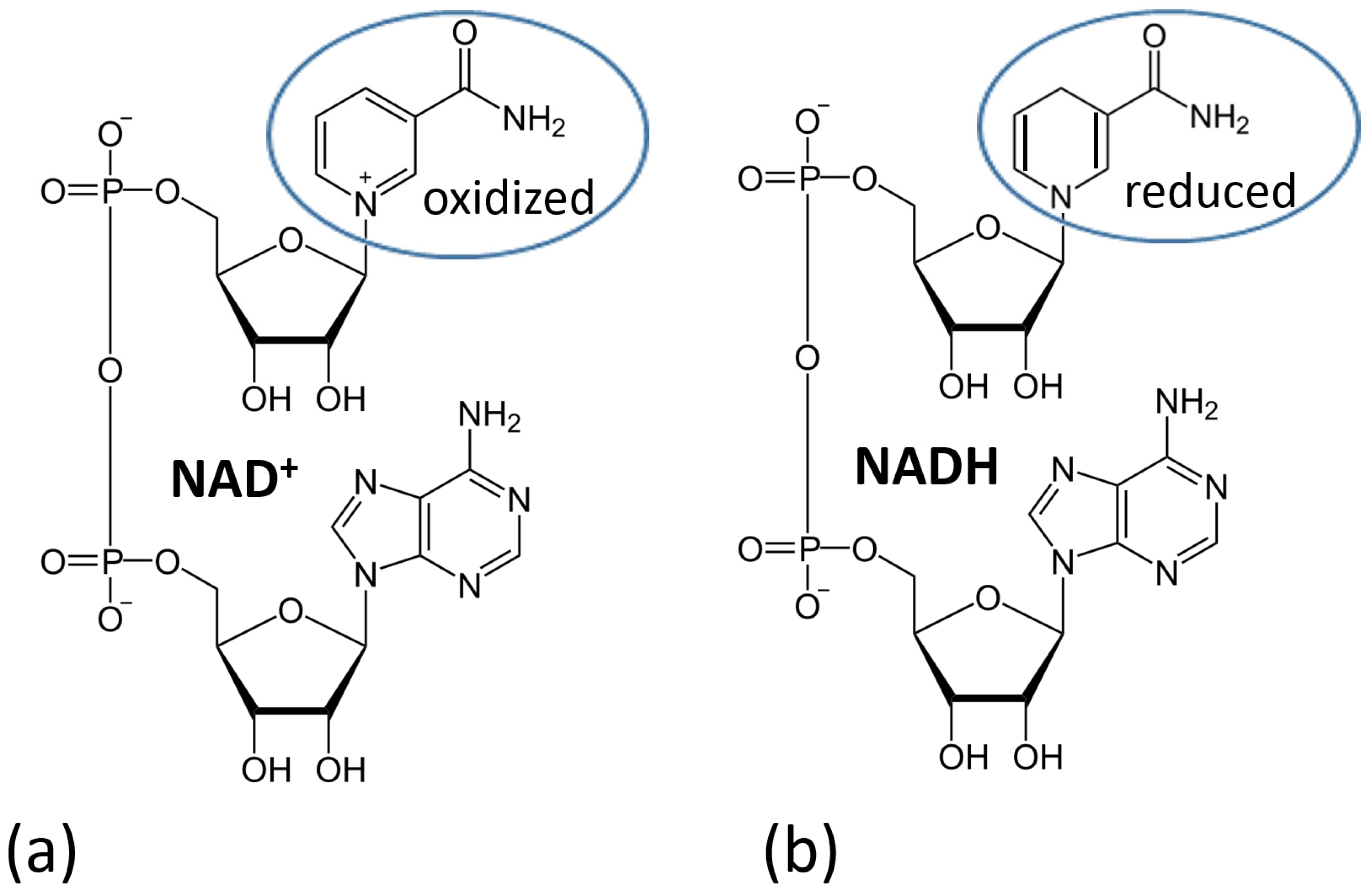 Biosensors 13 00044 g020