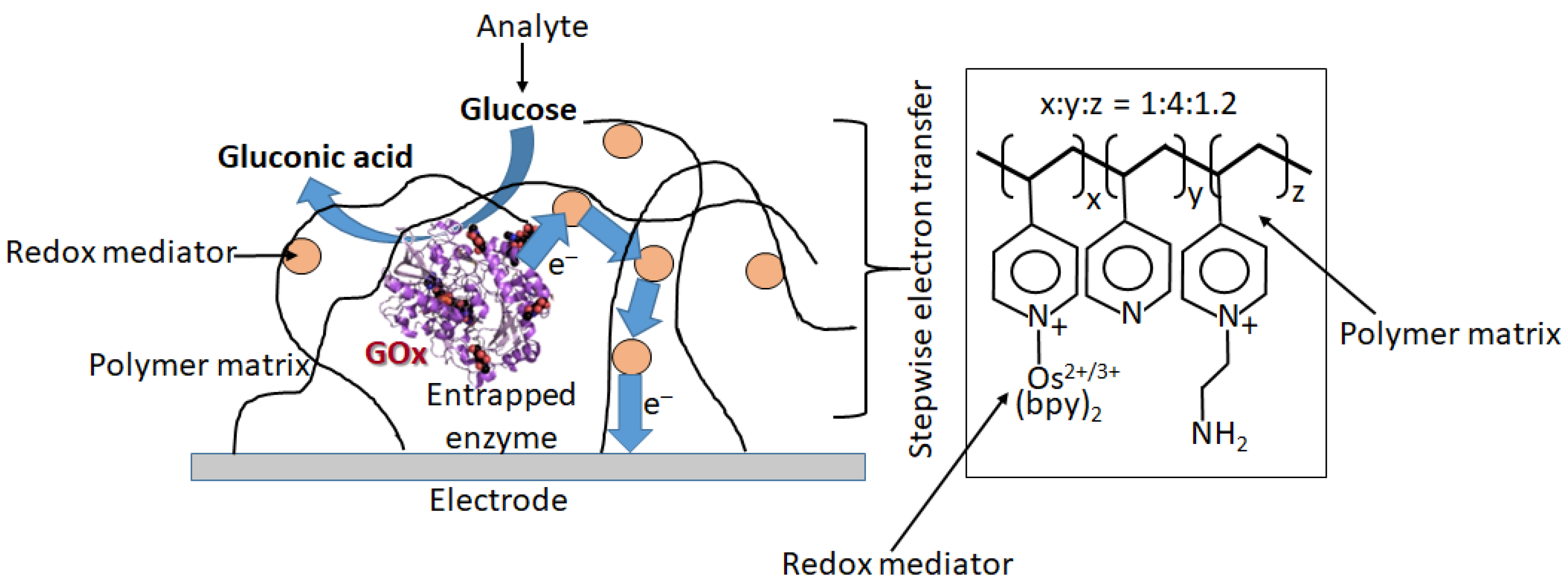 Biosensors 13 00044 g021