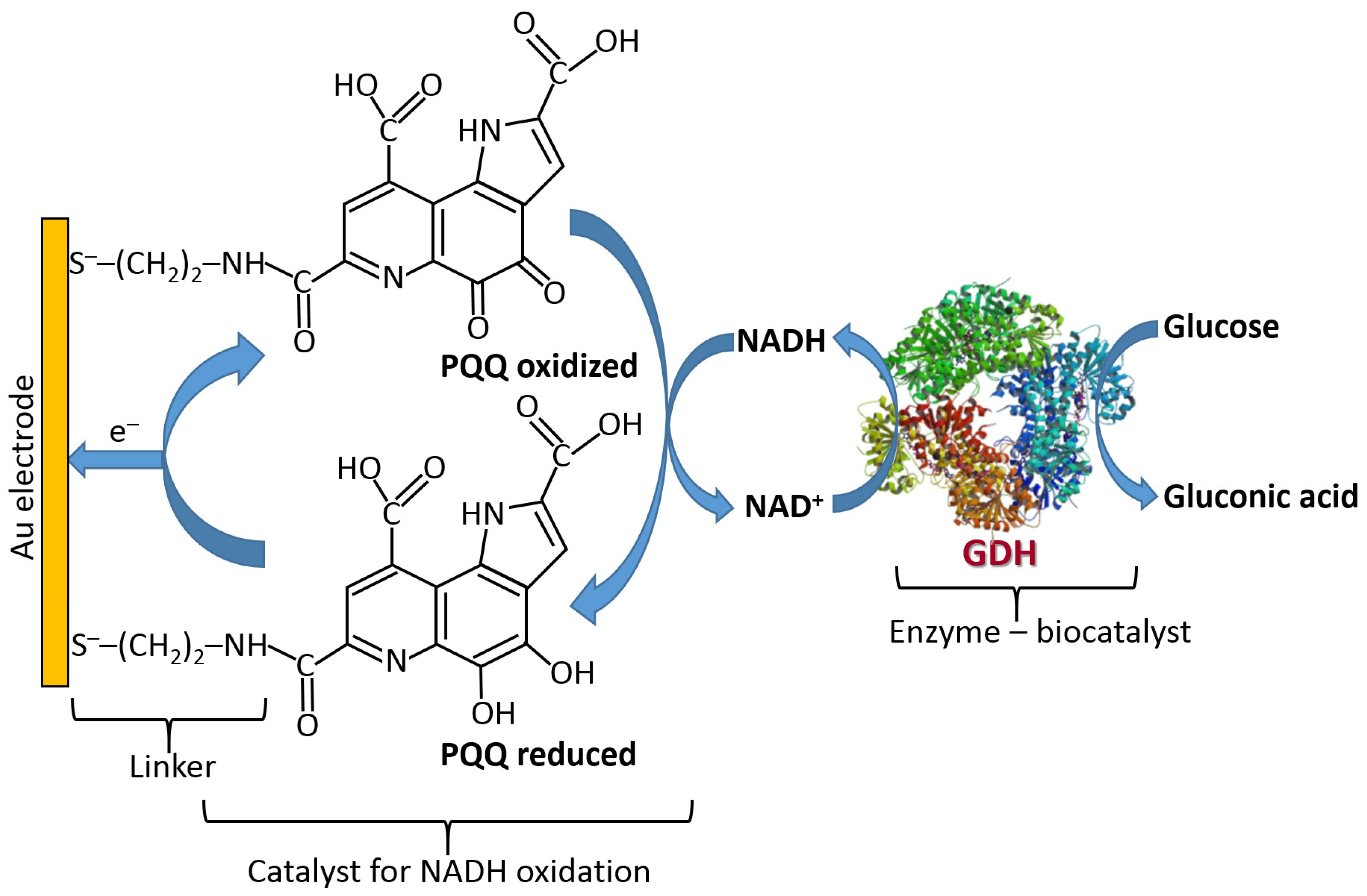 Biosensors 13 00044 g023