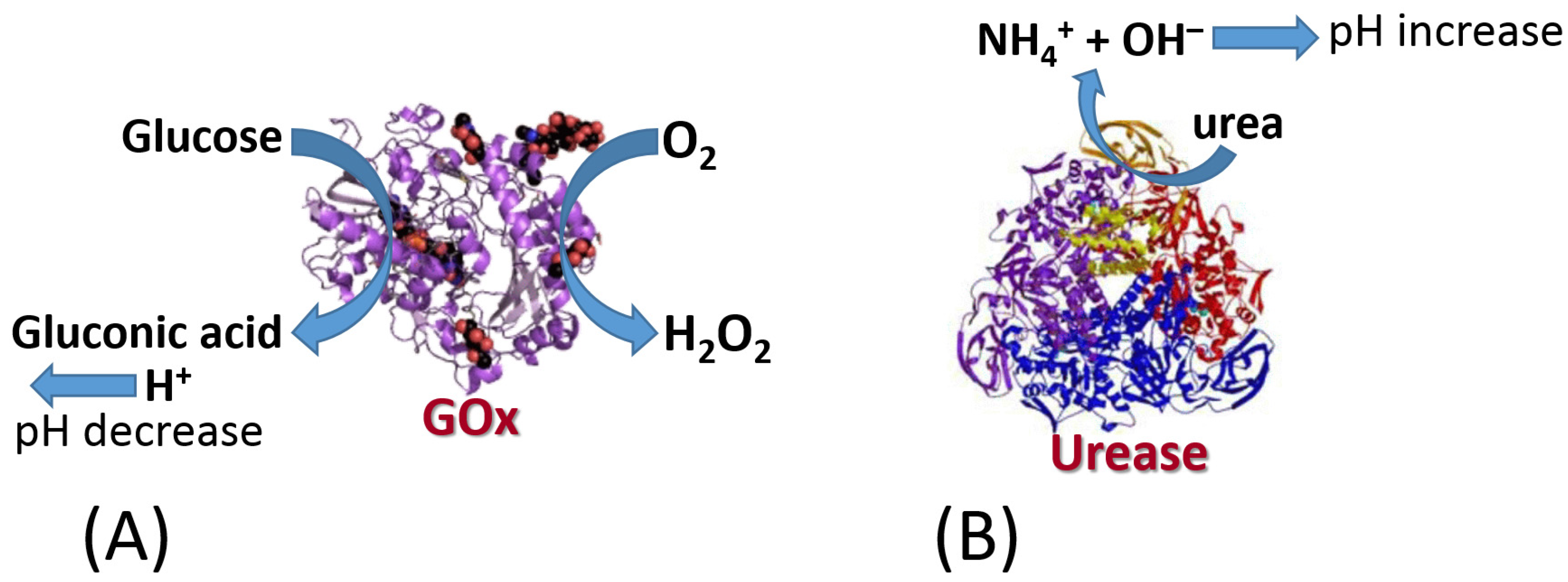 Biosensors 13 00044 g025