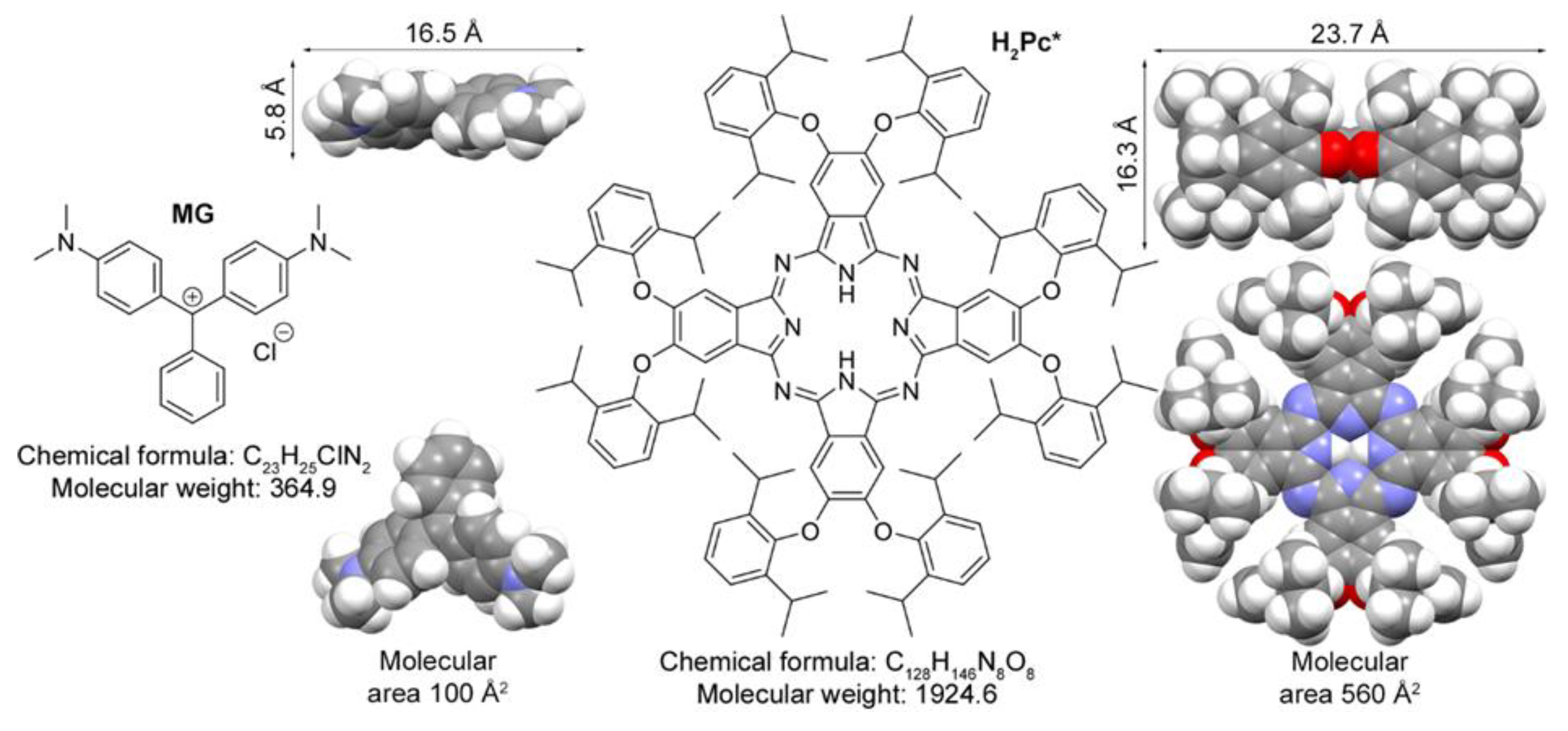 Biosensors 13 00046 g002