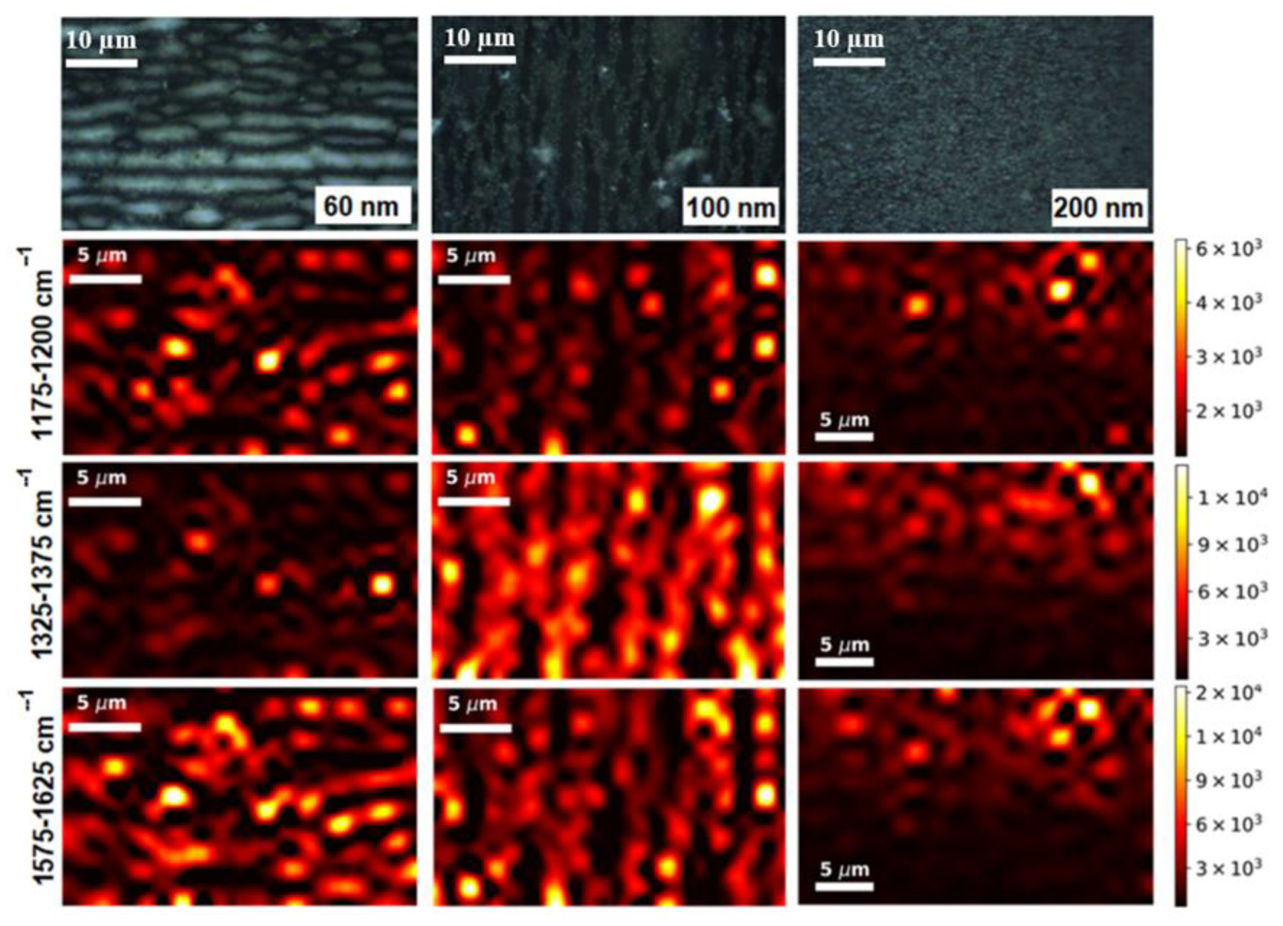 Biosensors 13 00046 g007