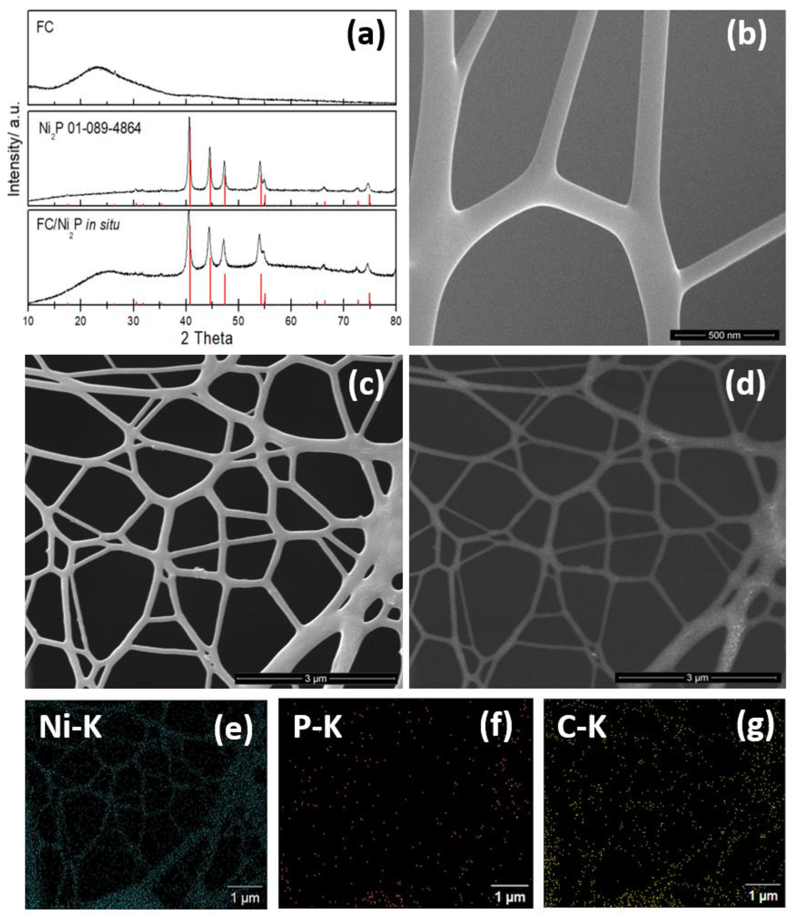 Biosensors 13 00049 g001
