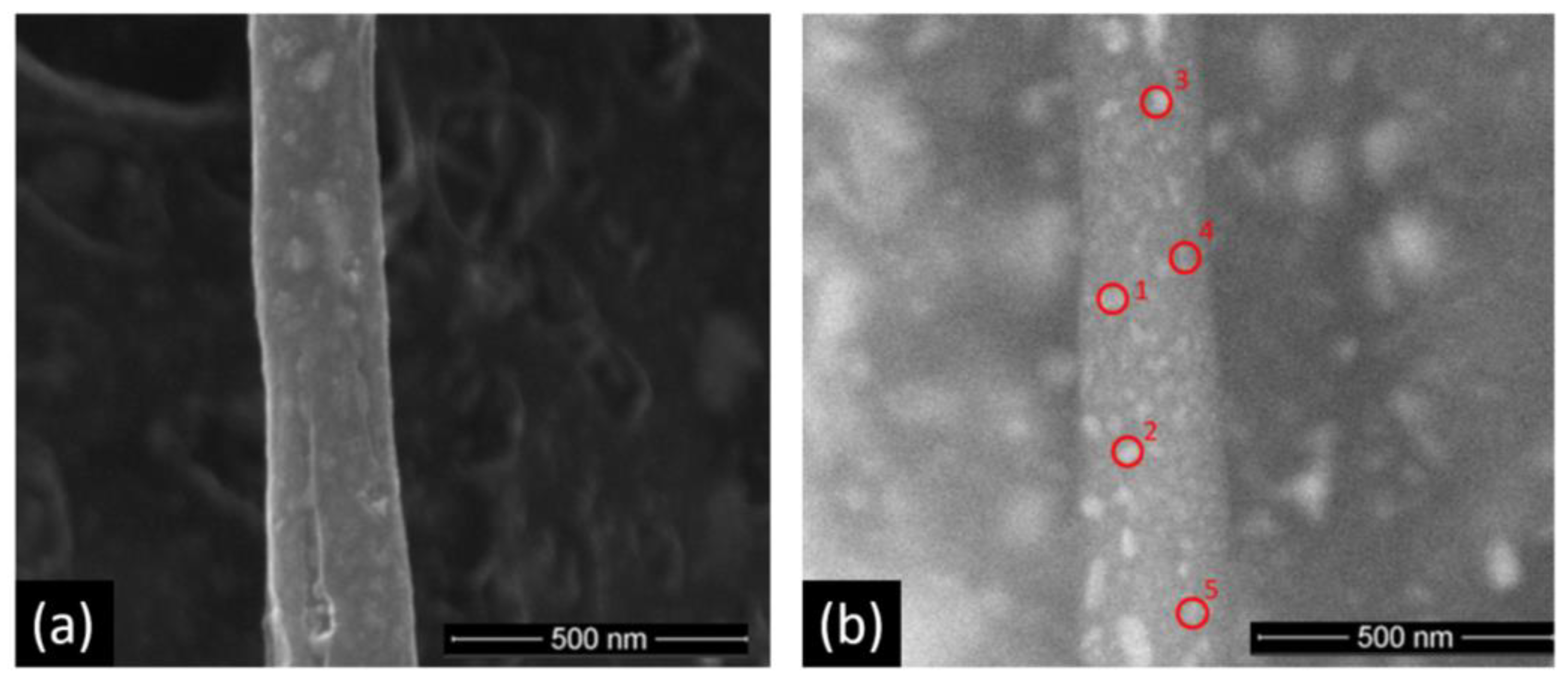 Biosensors 13 00049 g002