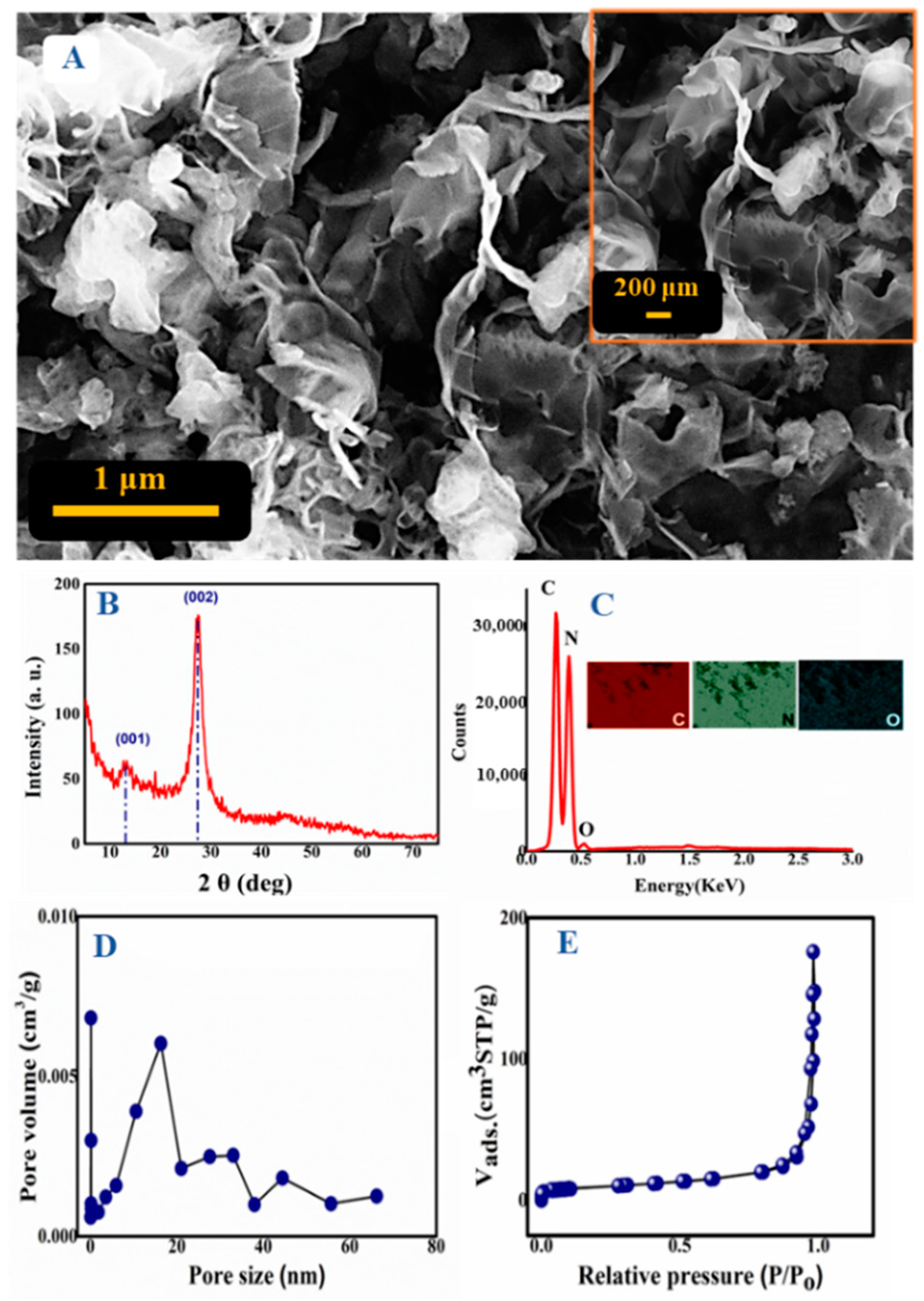 Biosensors 13 00051 g001