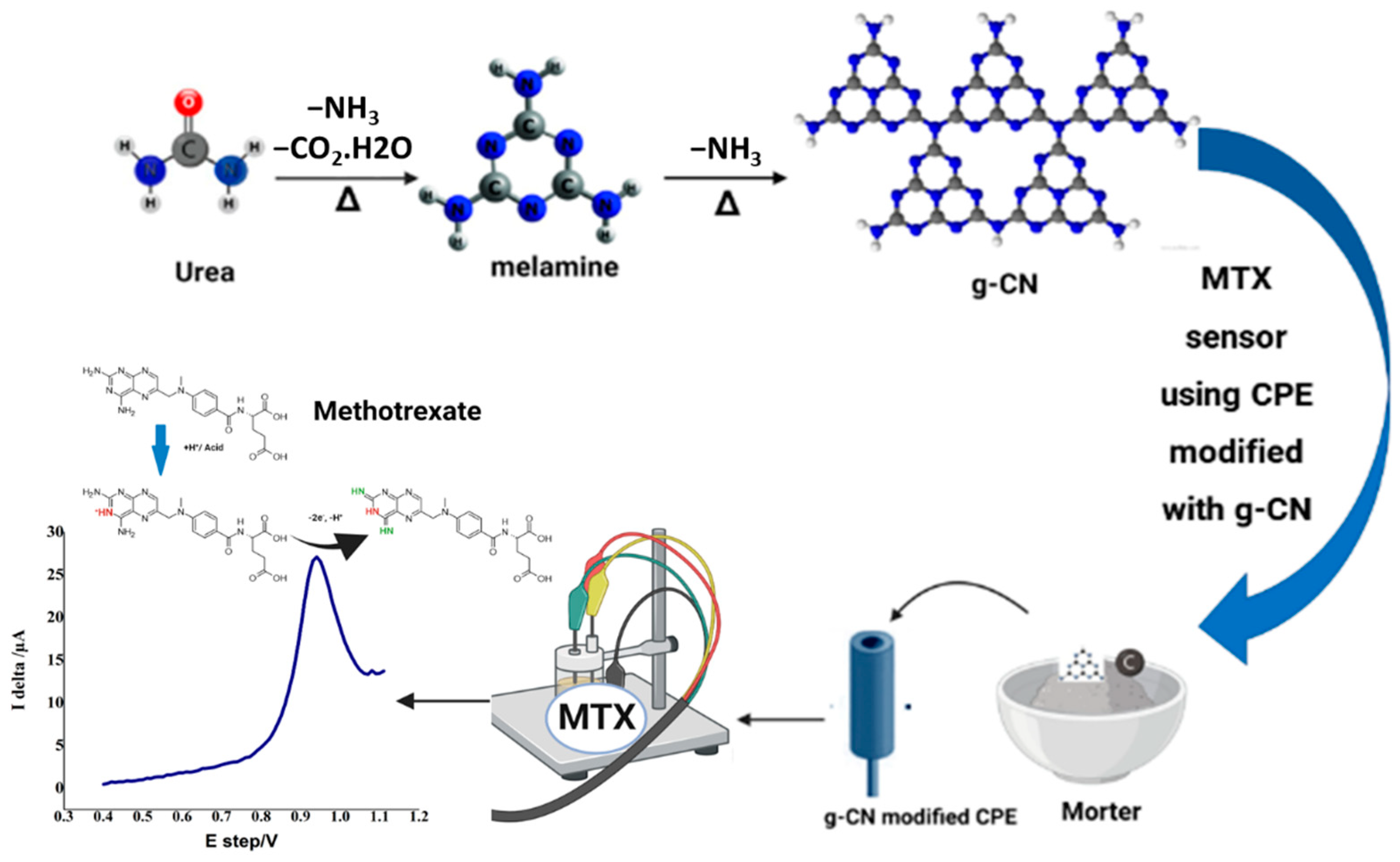 Biosensors 13 00051 sch001