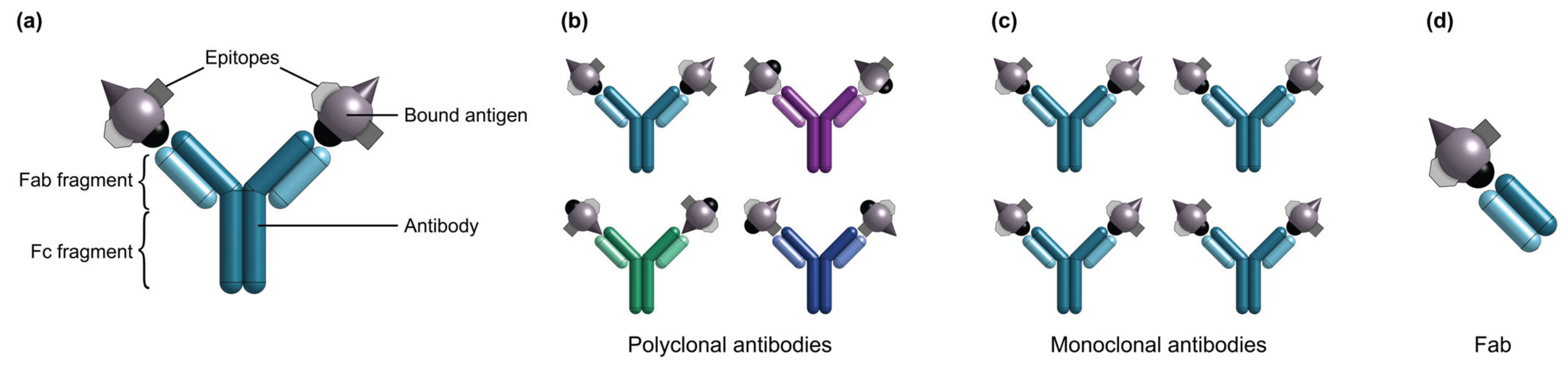 Biosensors 13 00053 g002